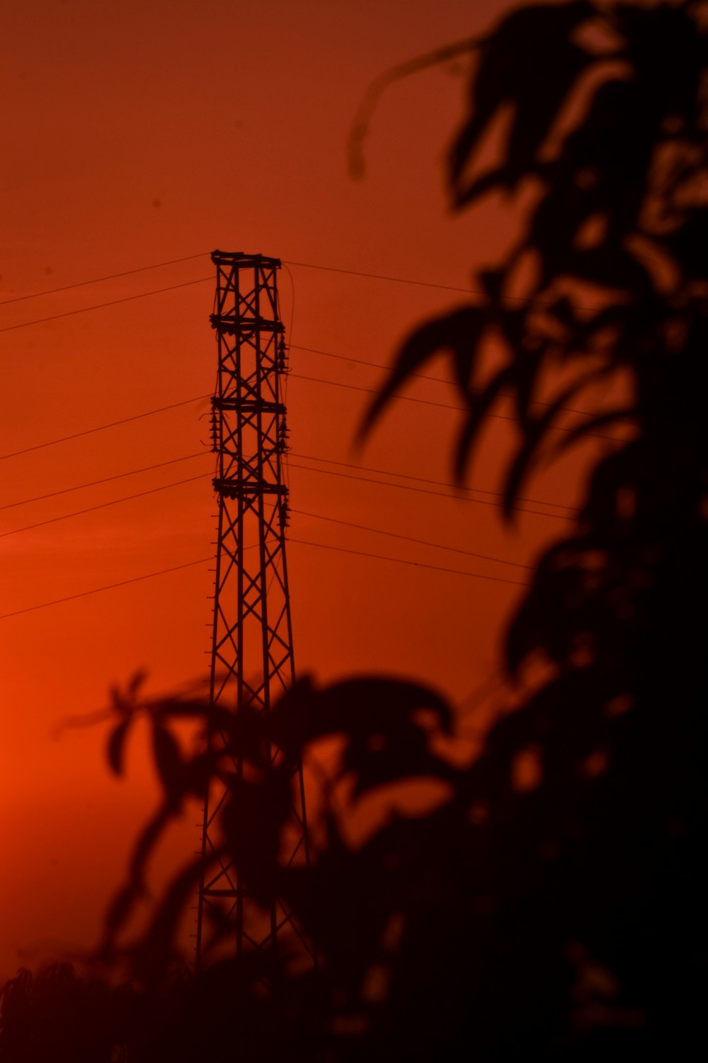 Silhouette des elektrischen Pfostens bei Sonnenuntergang