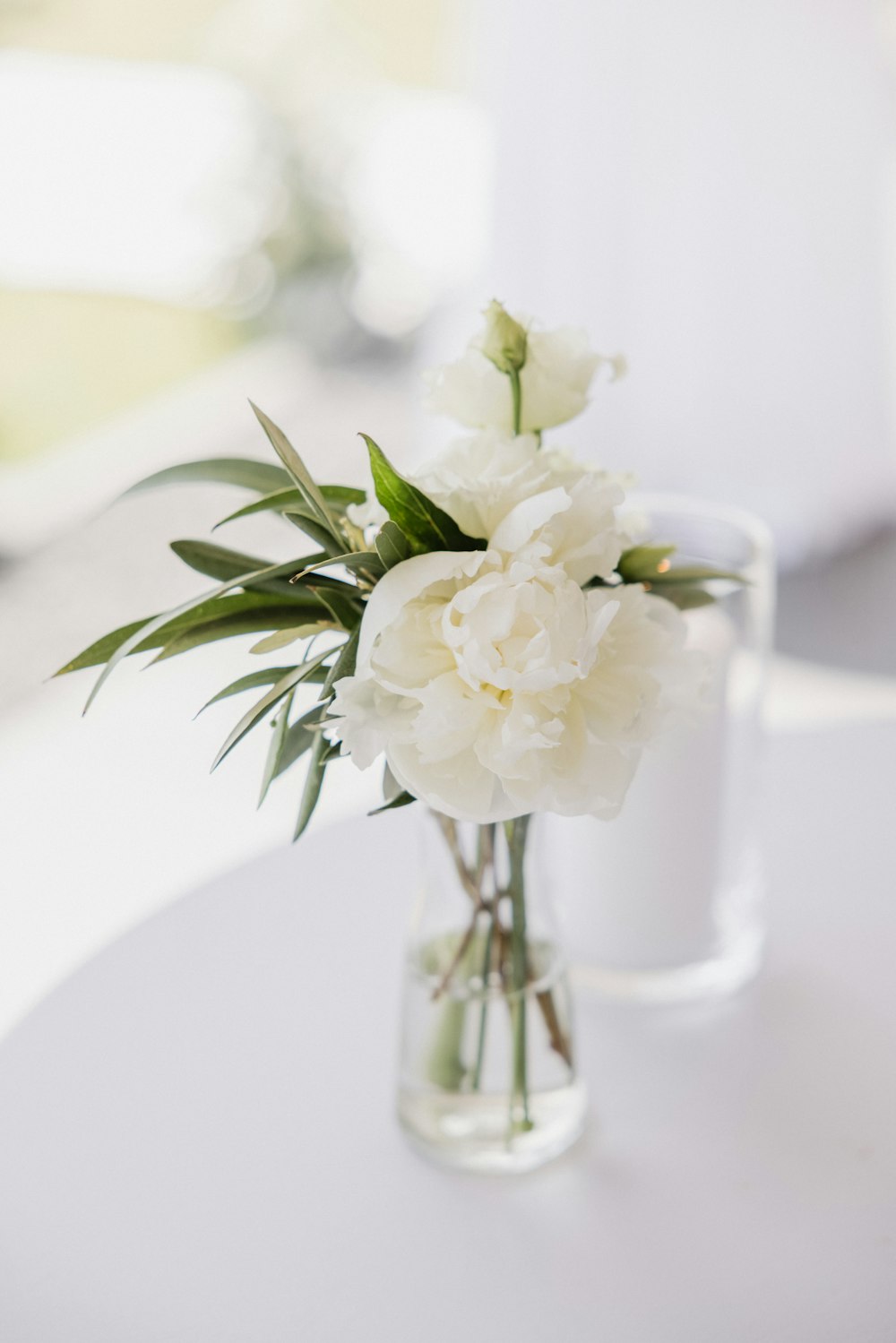 fiore bianco in vaso di vetro trasparente
