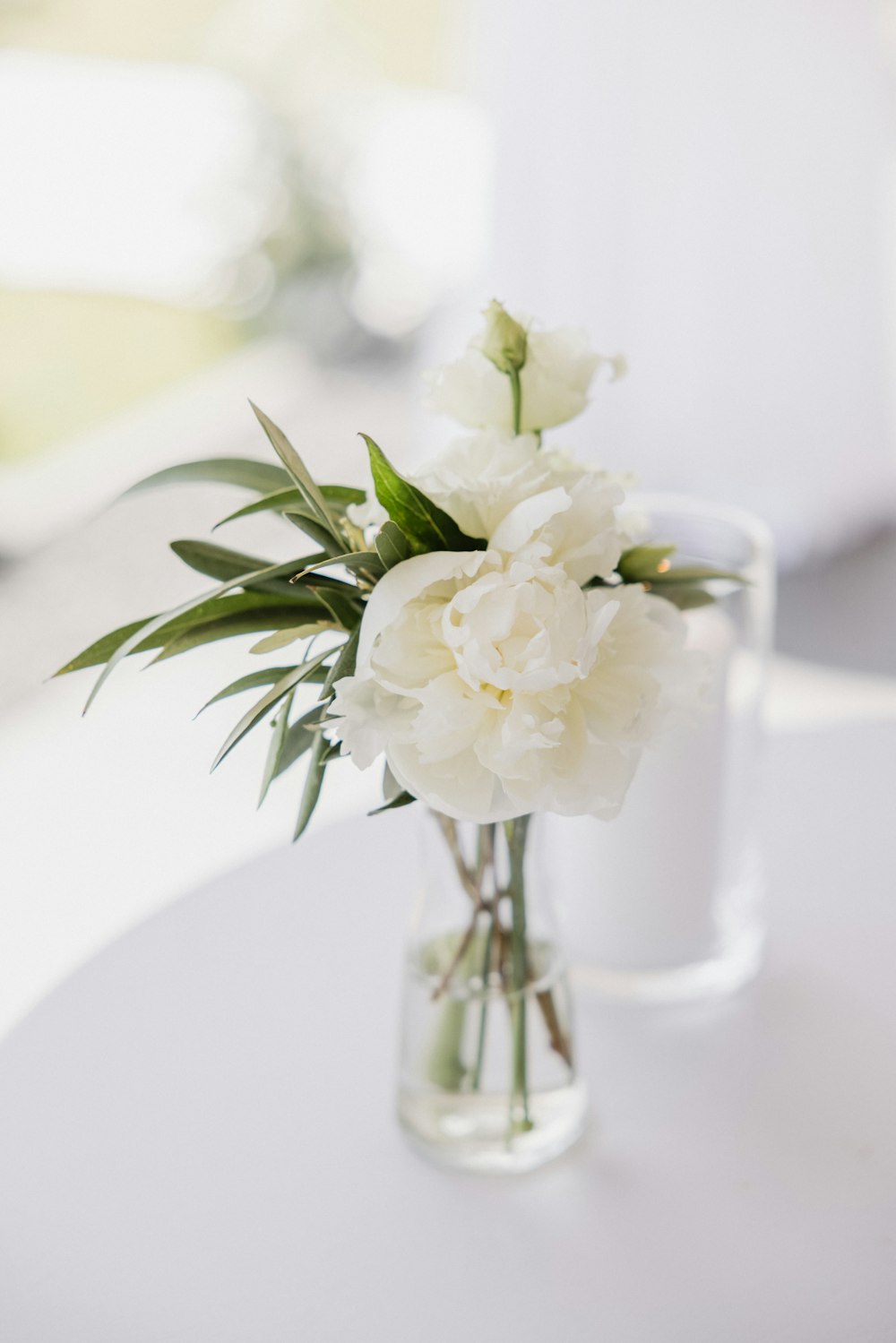 white flower in clear glass vase