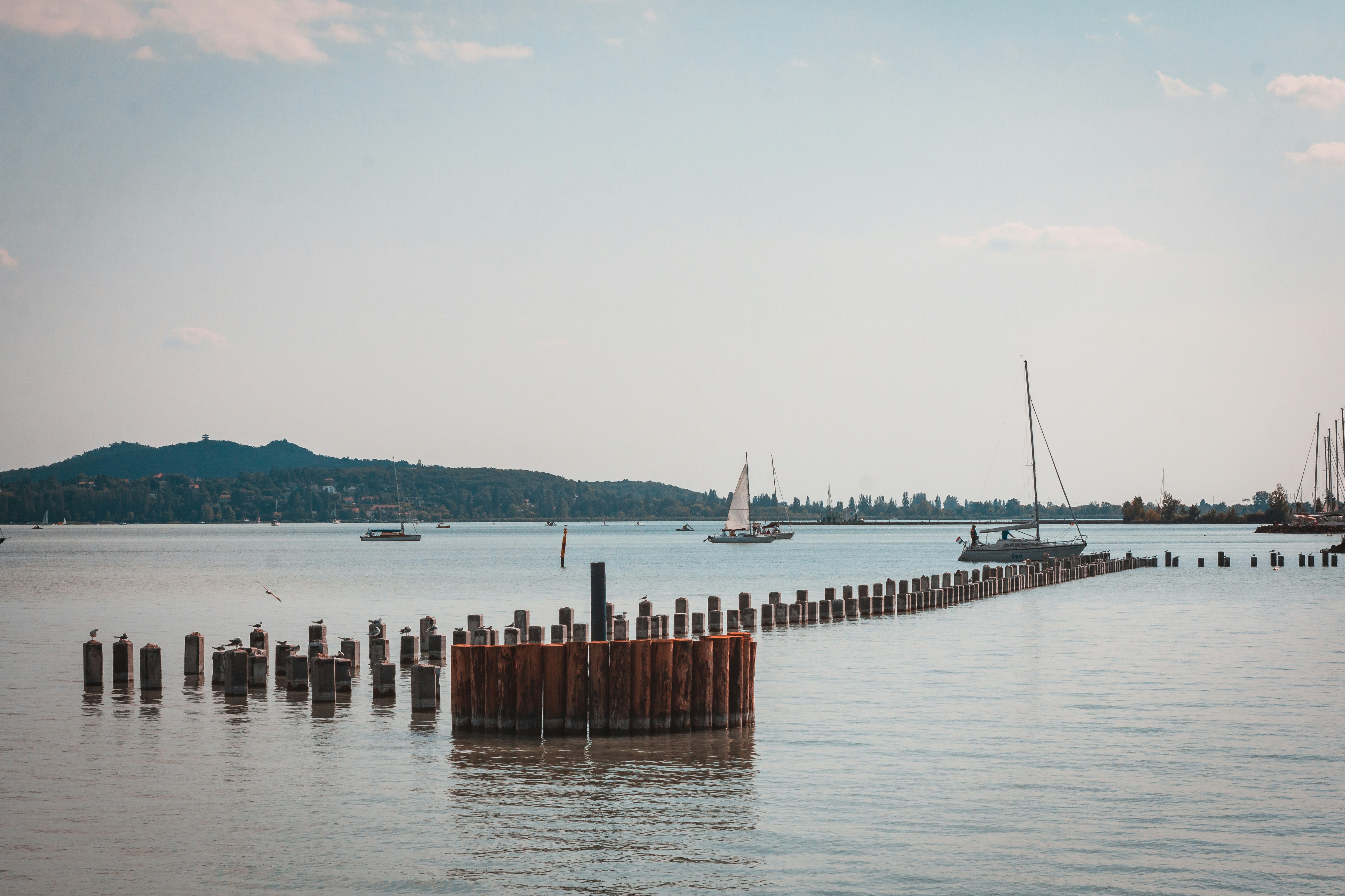 Photo by szabolcsantal