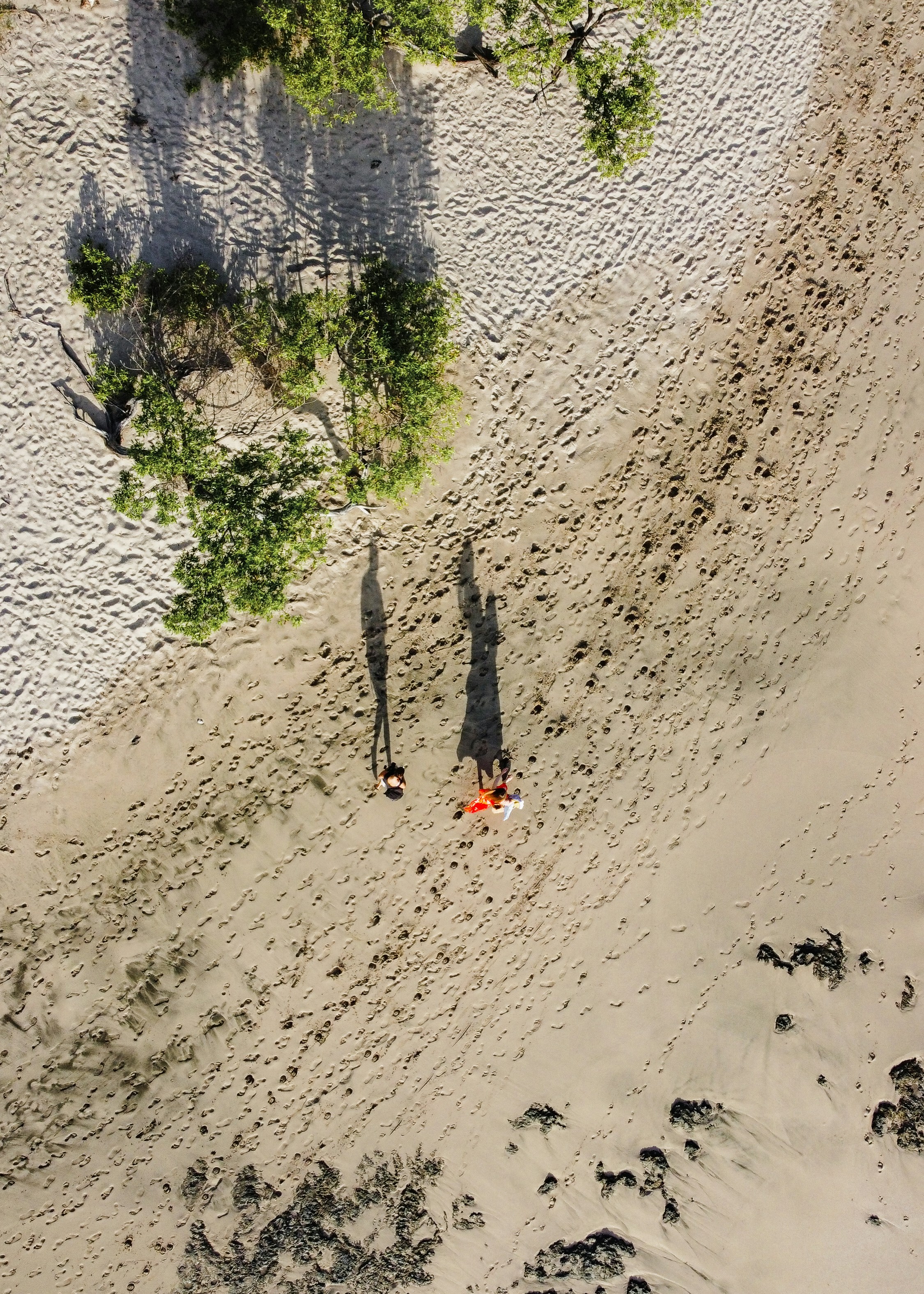 Gente caminando por la playa durante el día