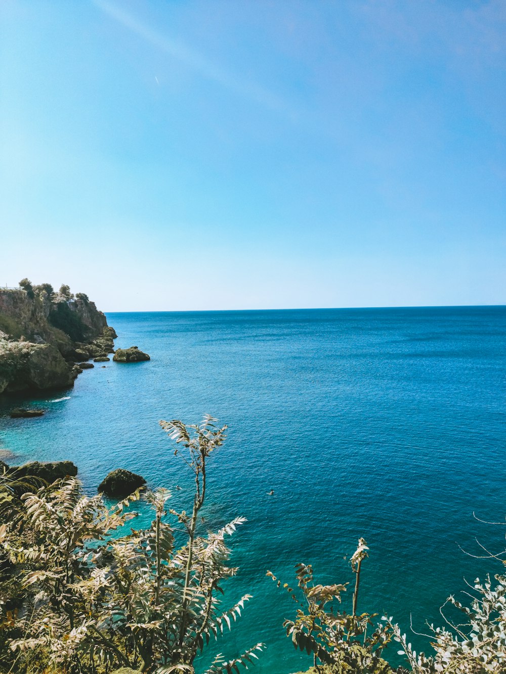 a body of water surrounded by trees and bushes