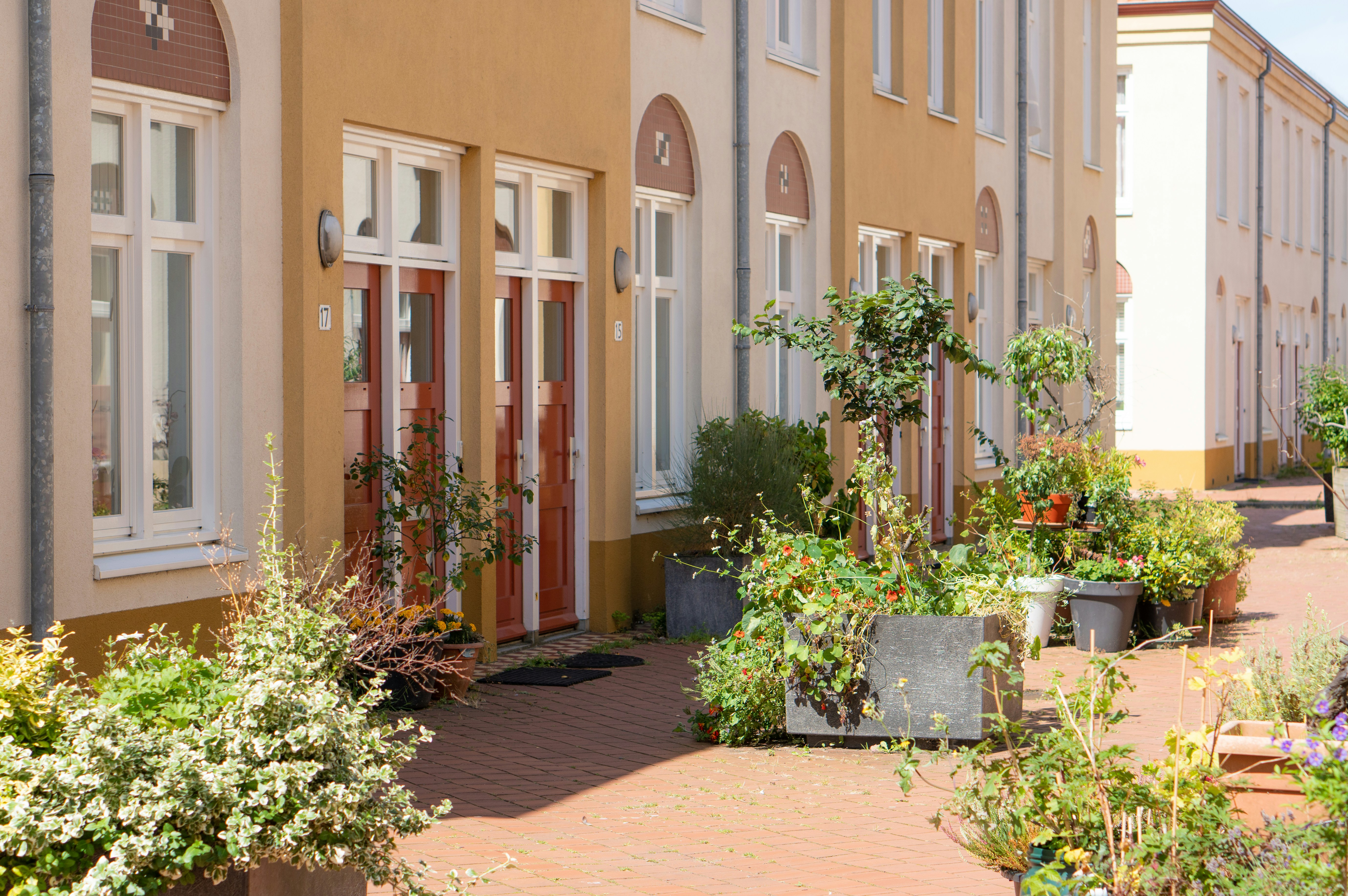 Photo by peter_felis