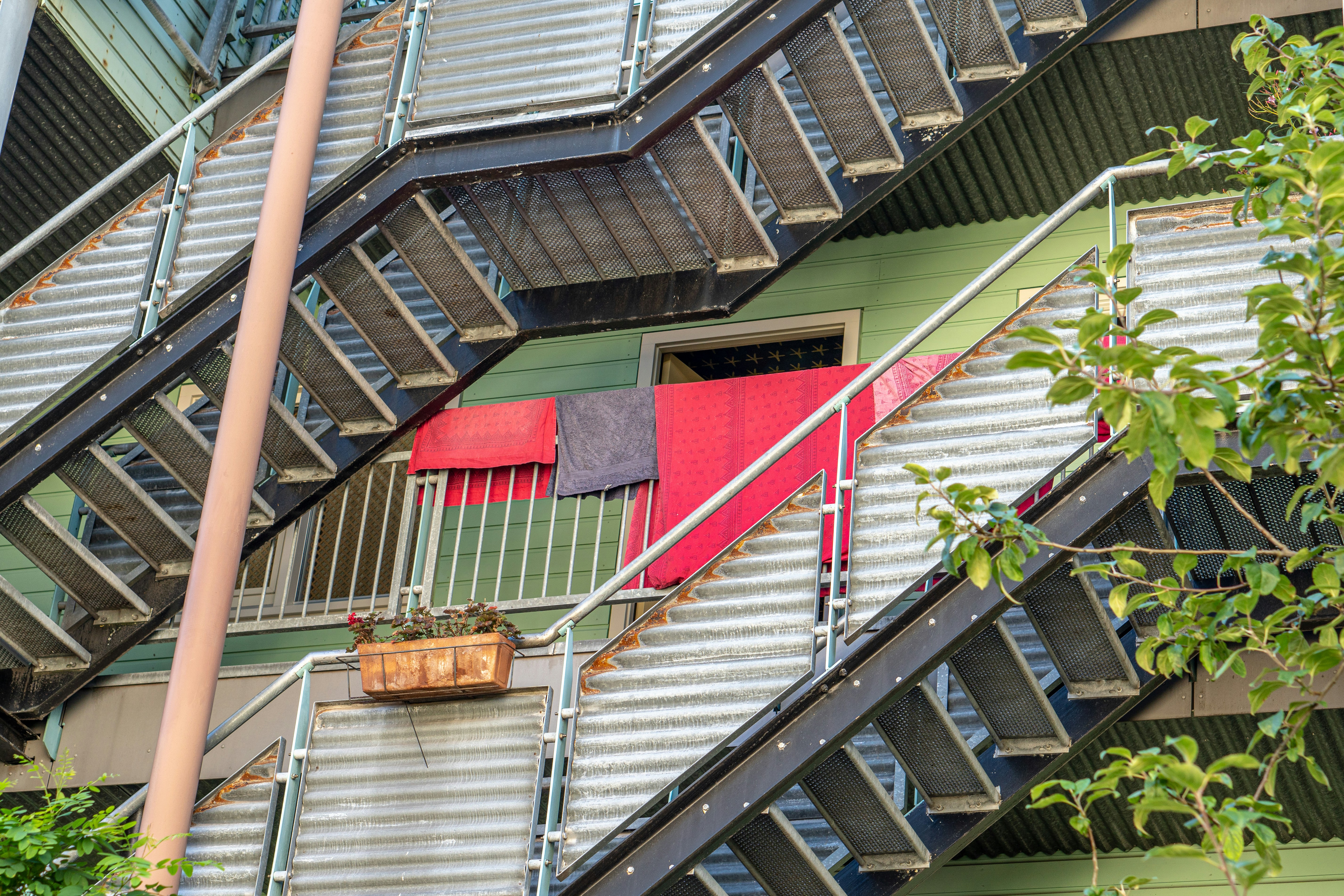 Photo by peter_felis