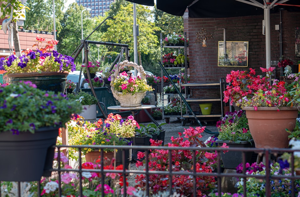 Balcony vegetable garden beginners: helpful reference illustration