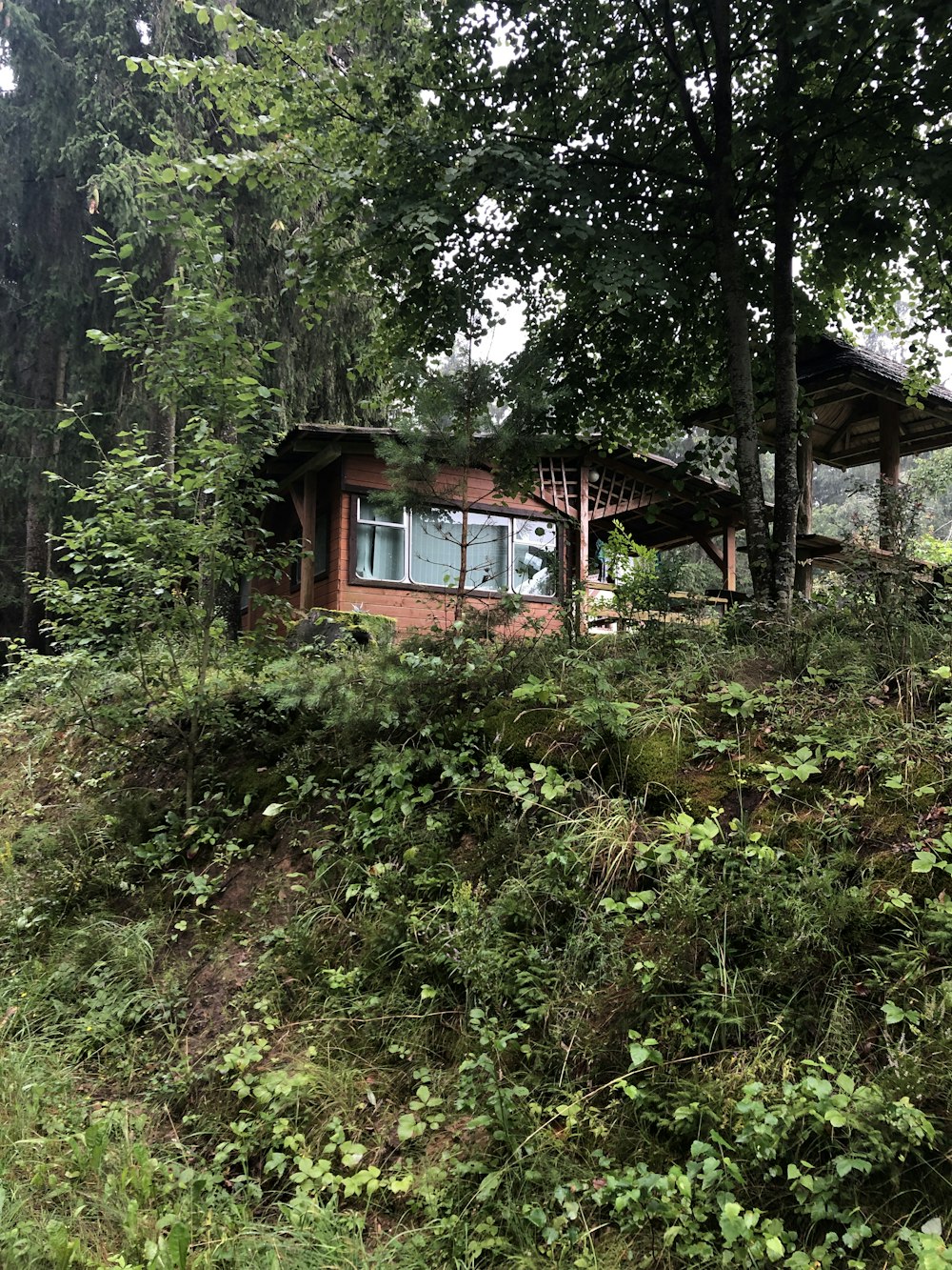 brown wooden house in the woods