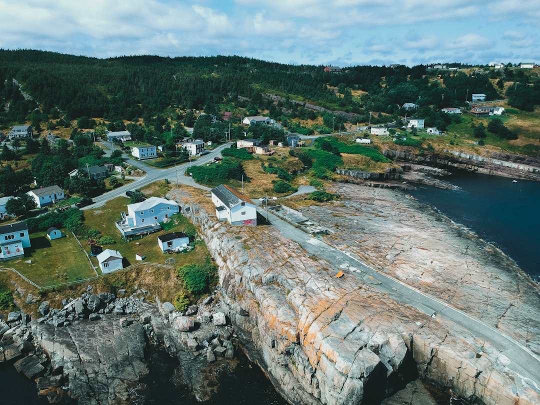 aerial view of city buildings near body of water during daytime