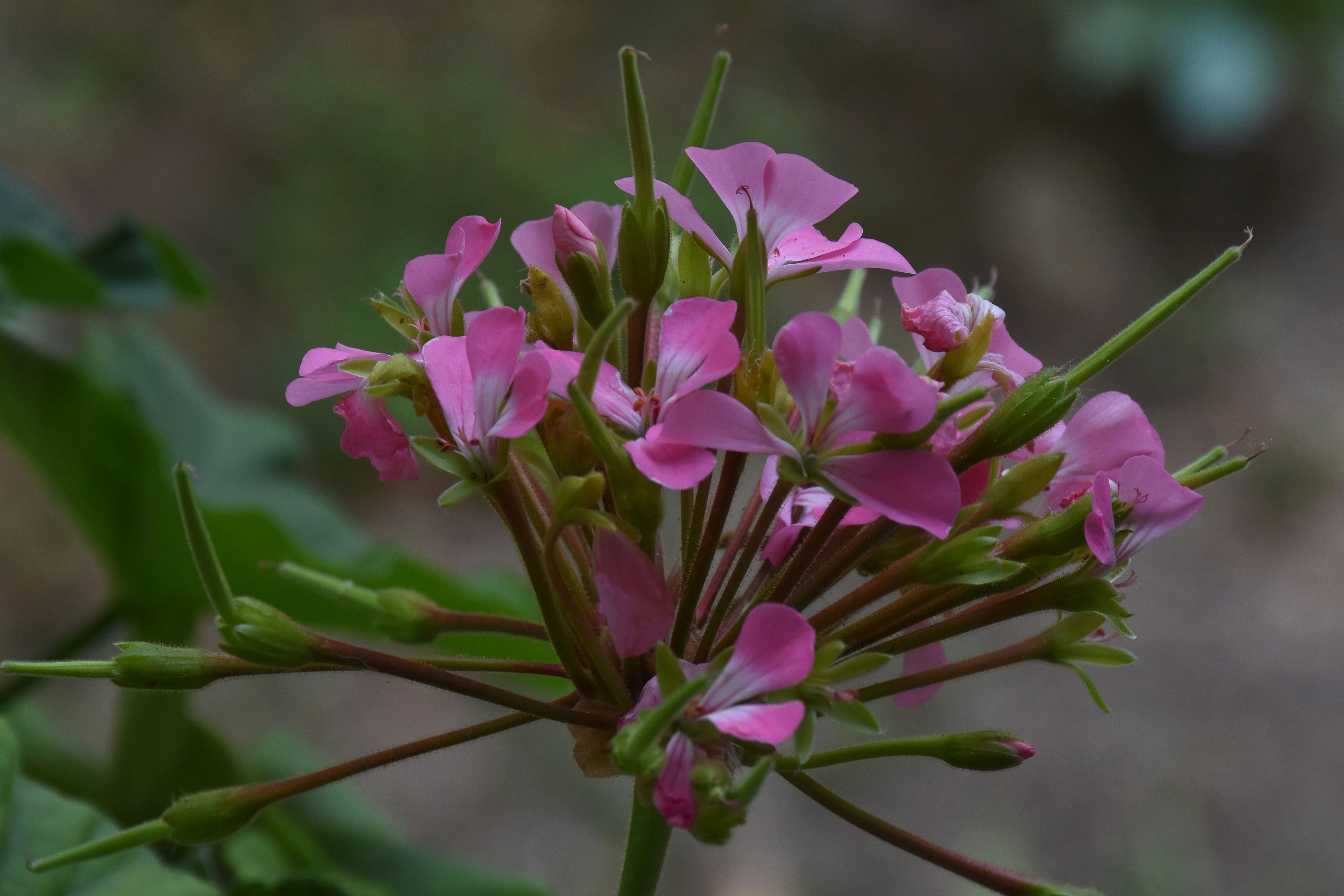 Photo by parsachinian