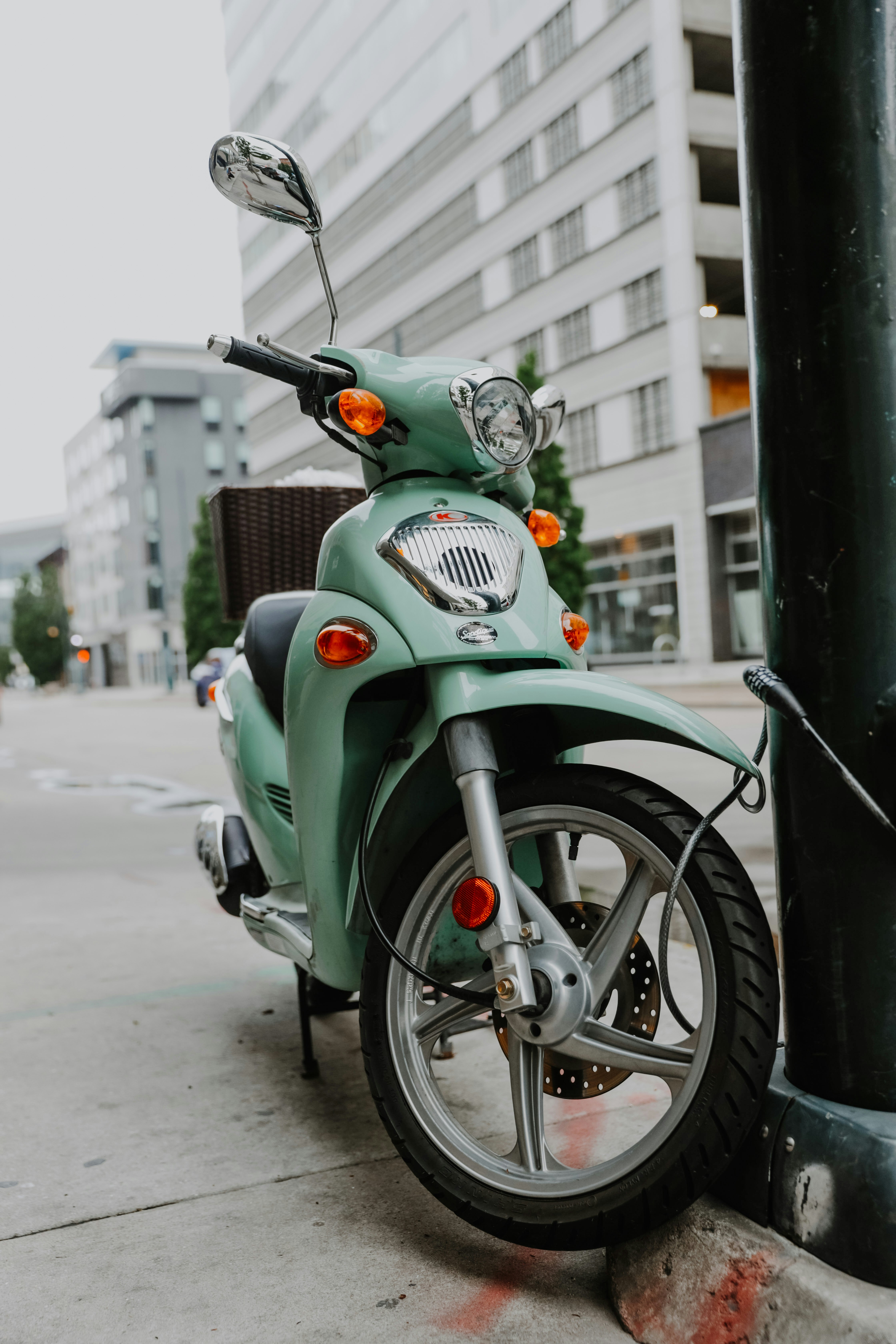 Photo by williamking_