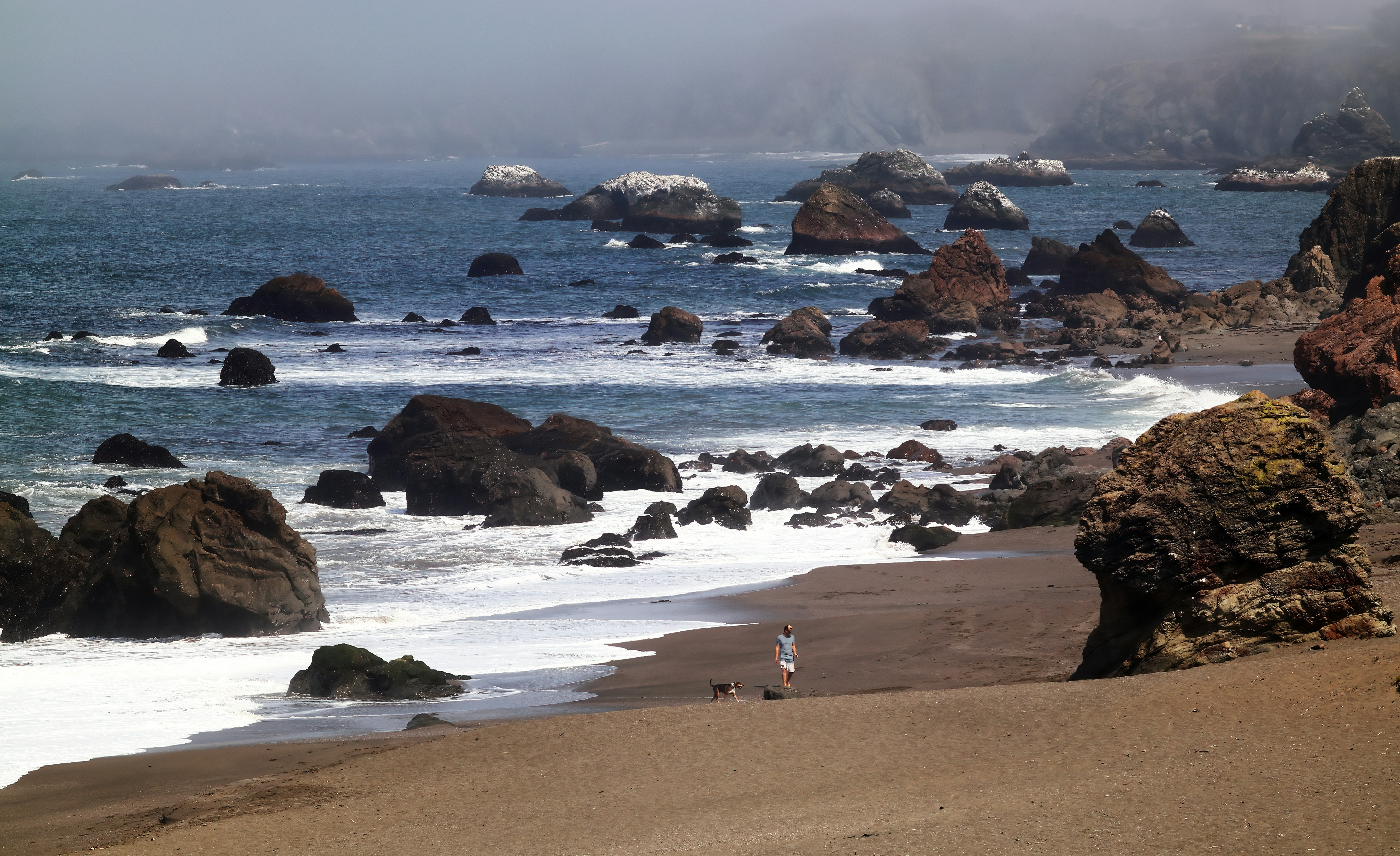 Photo by bullterriere