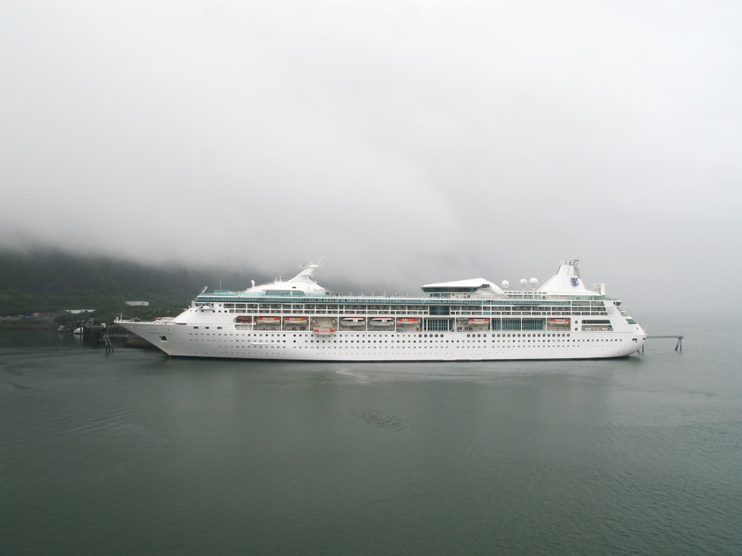 white and blue cruise ship on sea during daytime