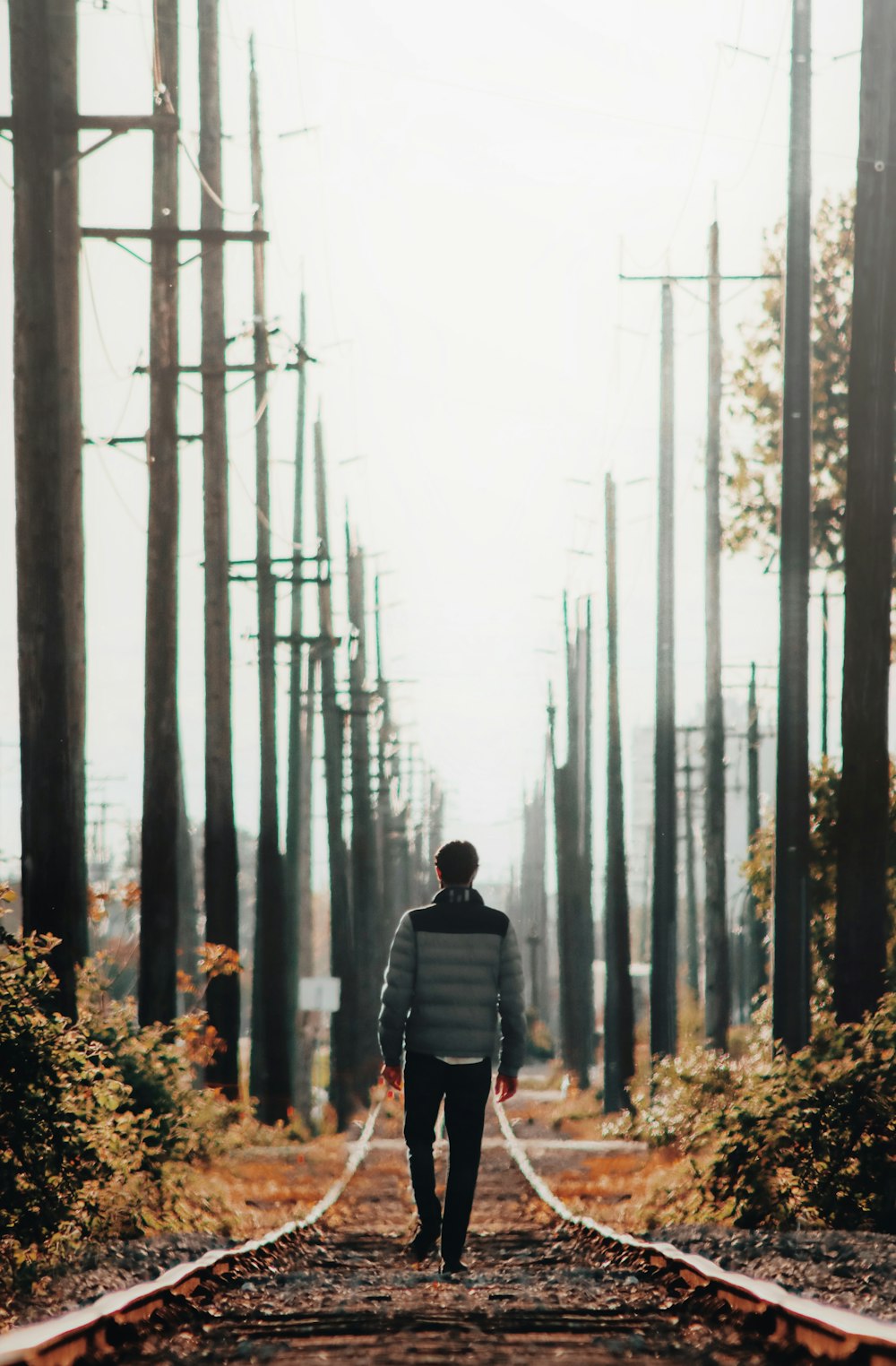 man in black jacket standing in forest during daytime