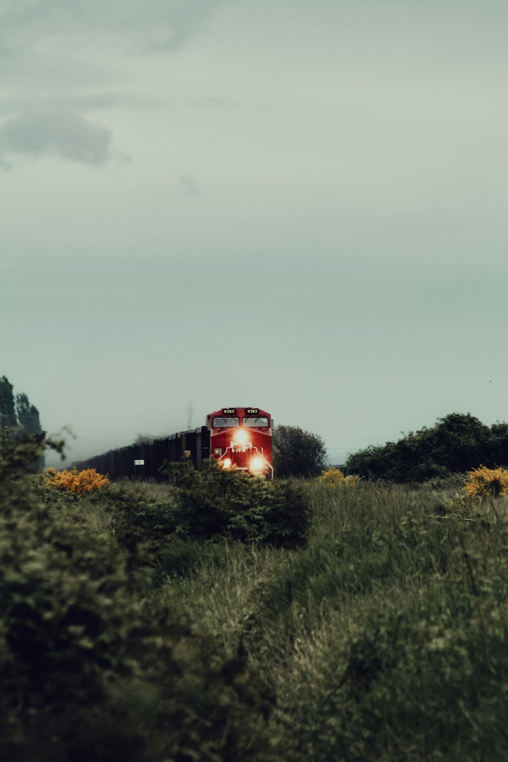 red train on green grass field during daytime