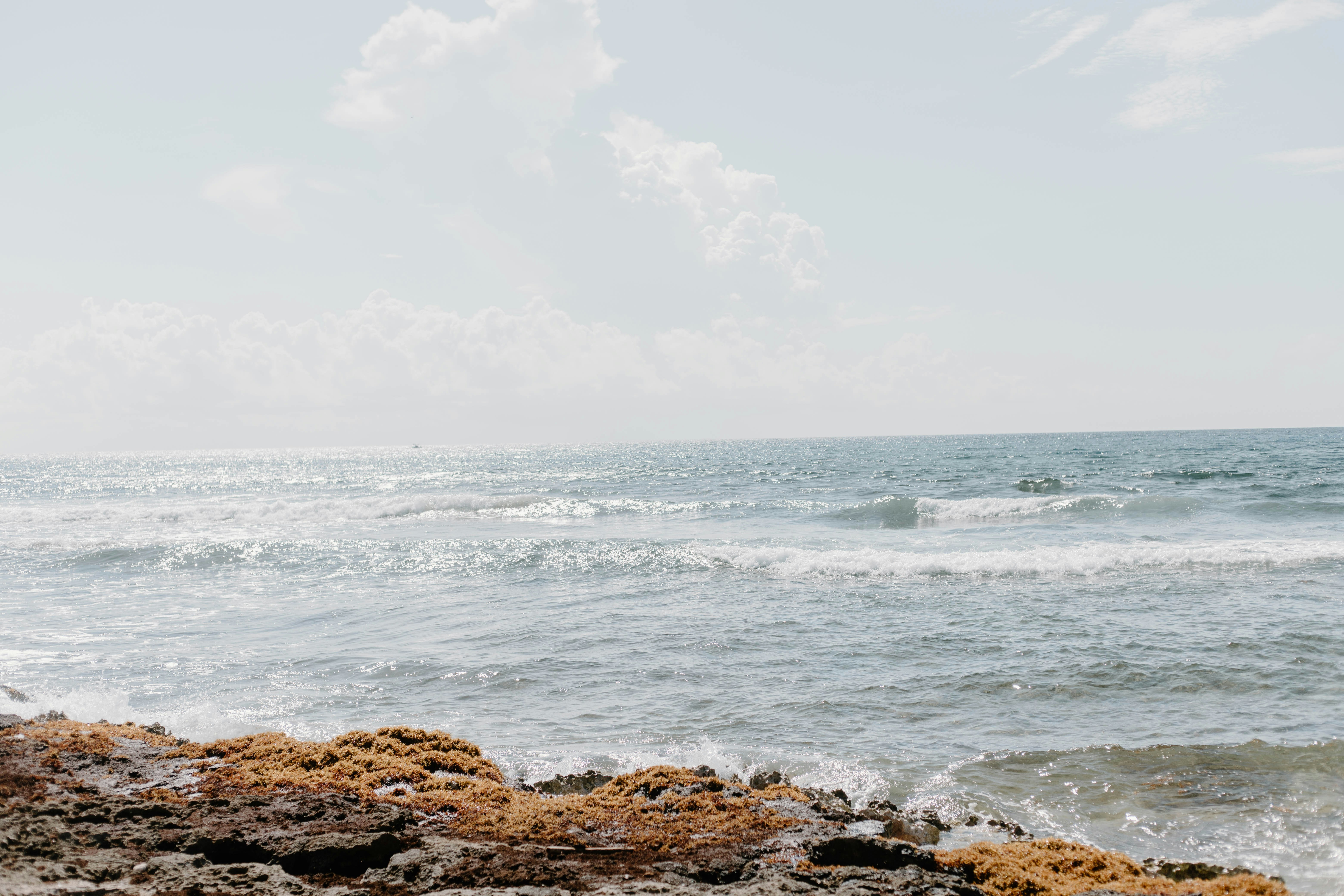 Photo by rachelcoyne