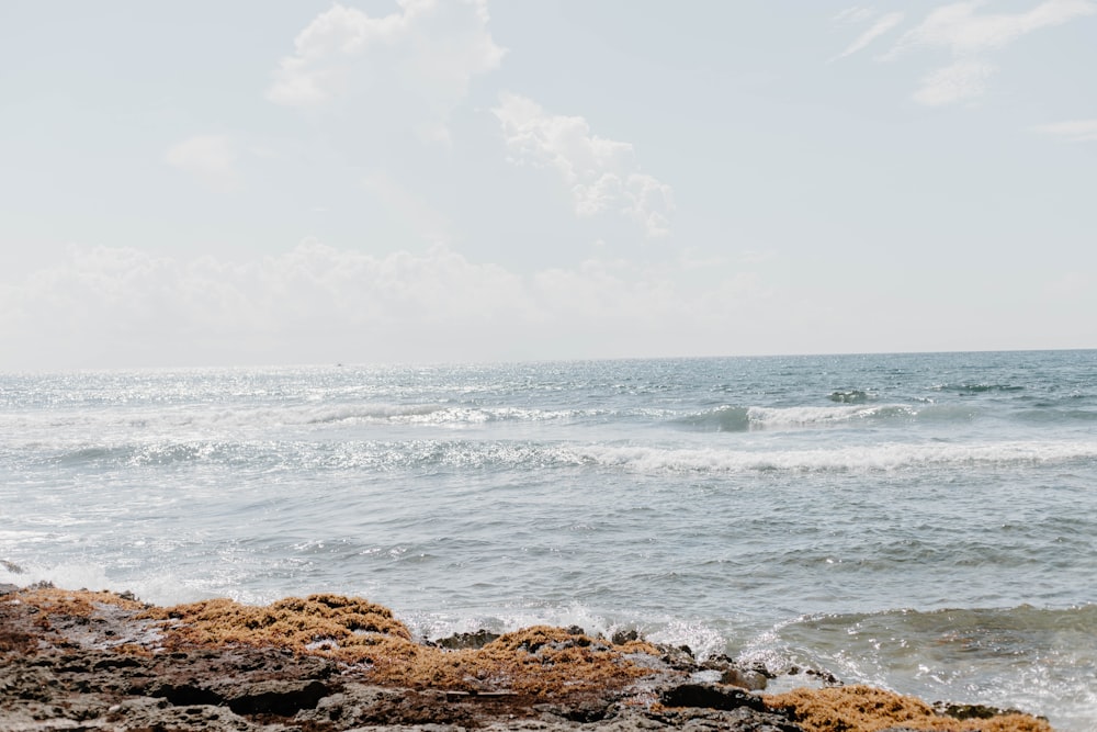 brown rocks on sea shore during daytime