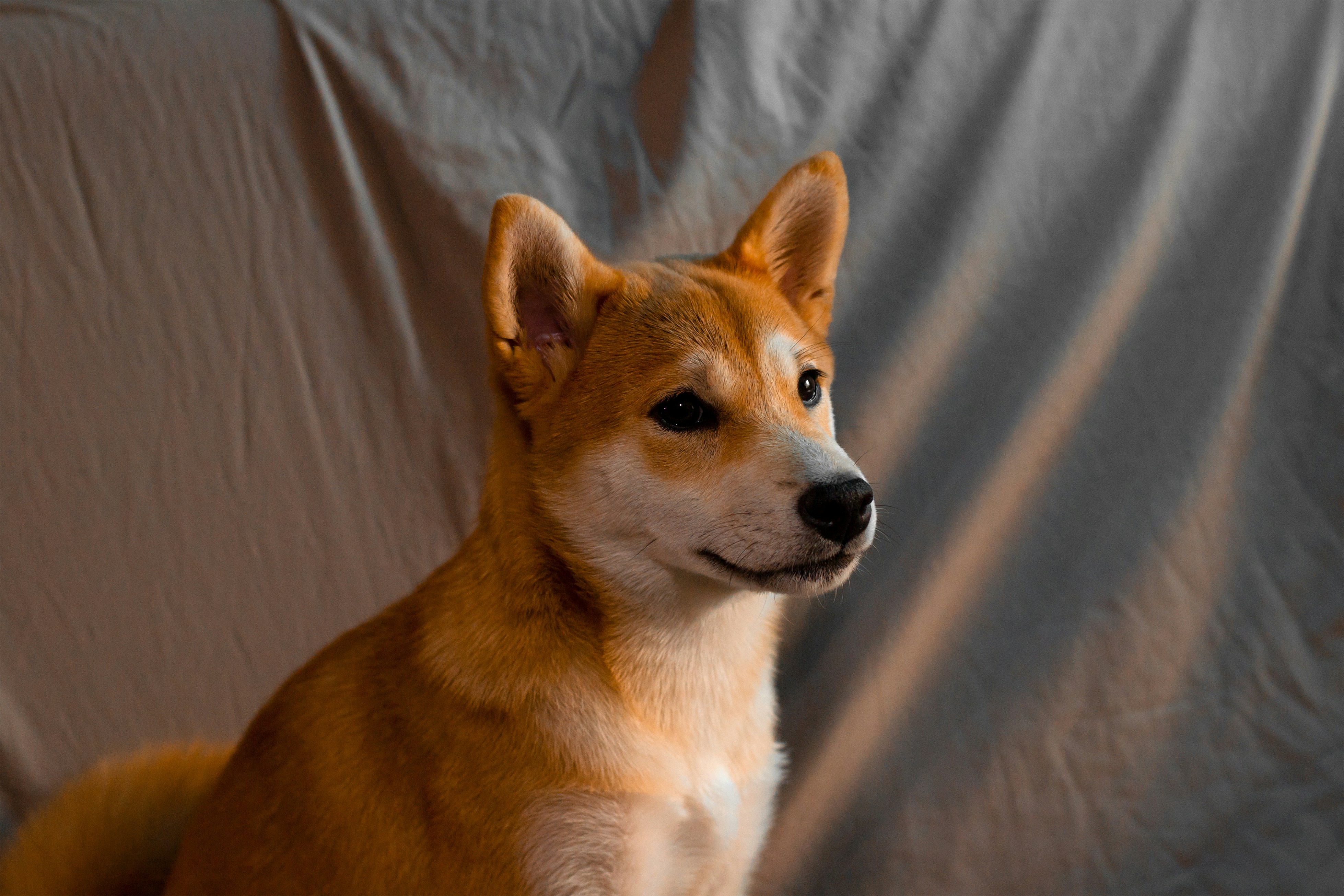 Photo by mihailovart_pht