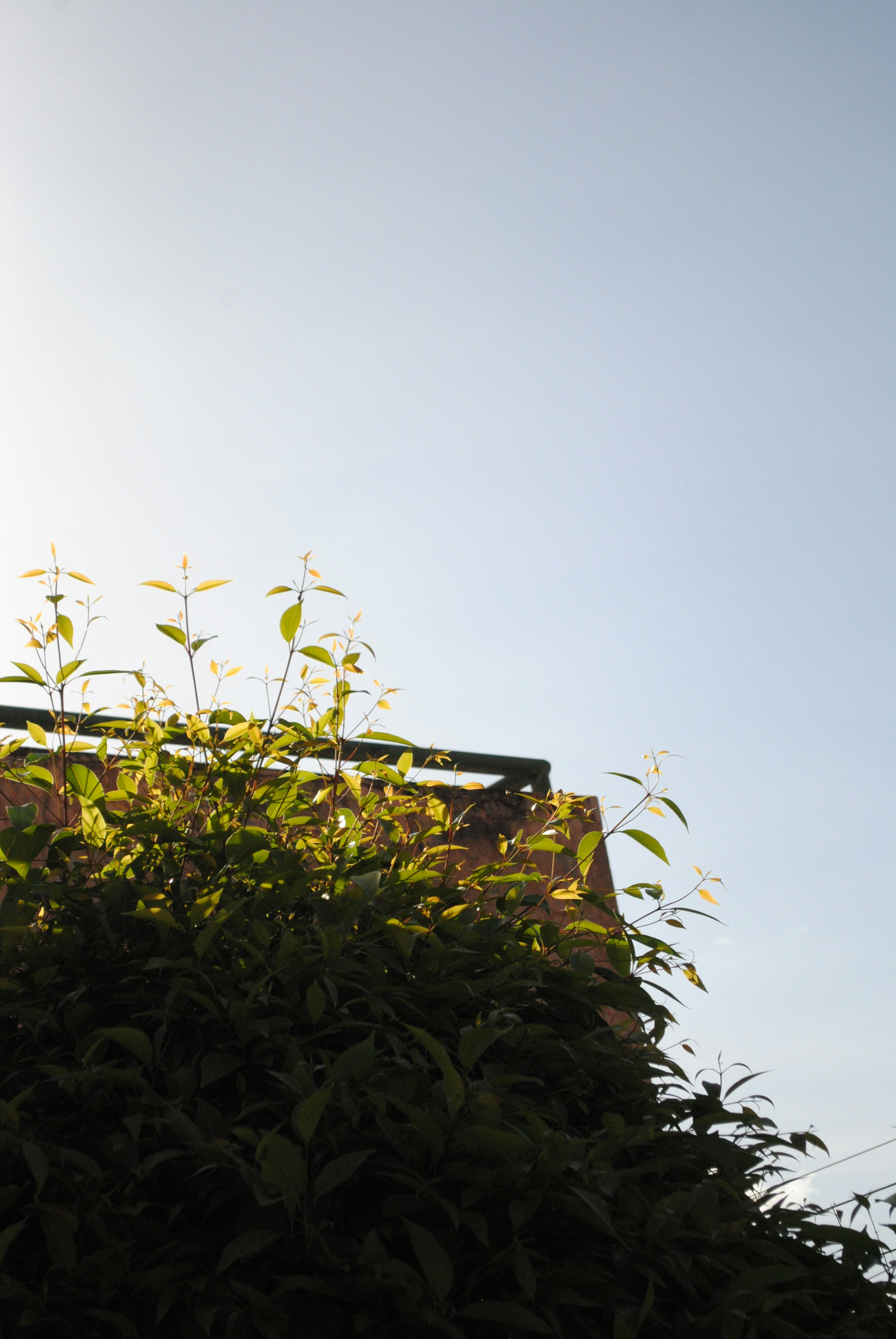 Photo by curiousjorge