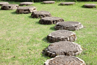 brown wood logs on green grass field during daytime