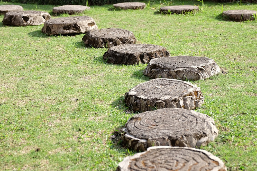 brown wood logs on green grass field during daytime