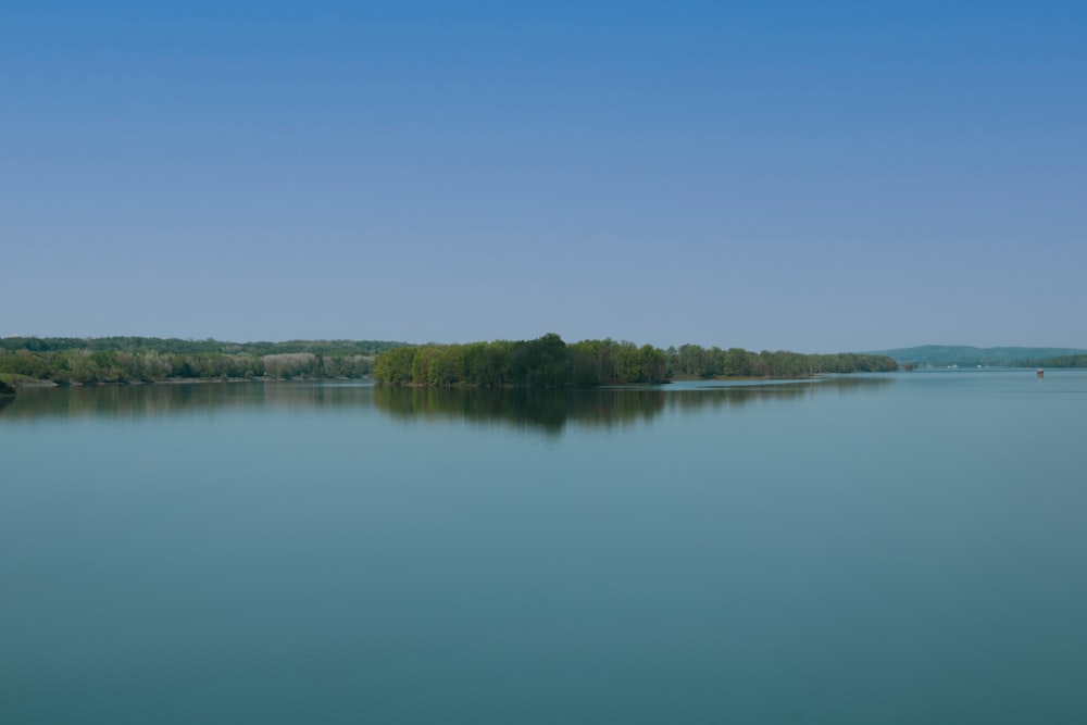 green trees beside body of water under blue sky during daytime