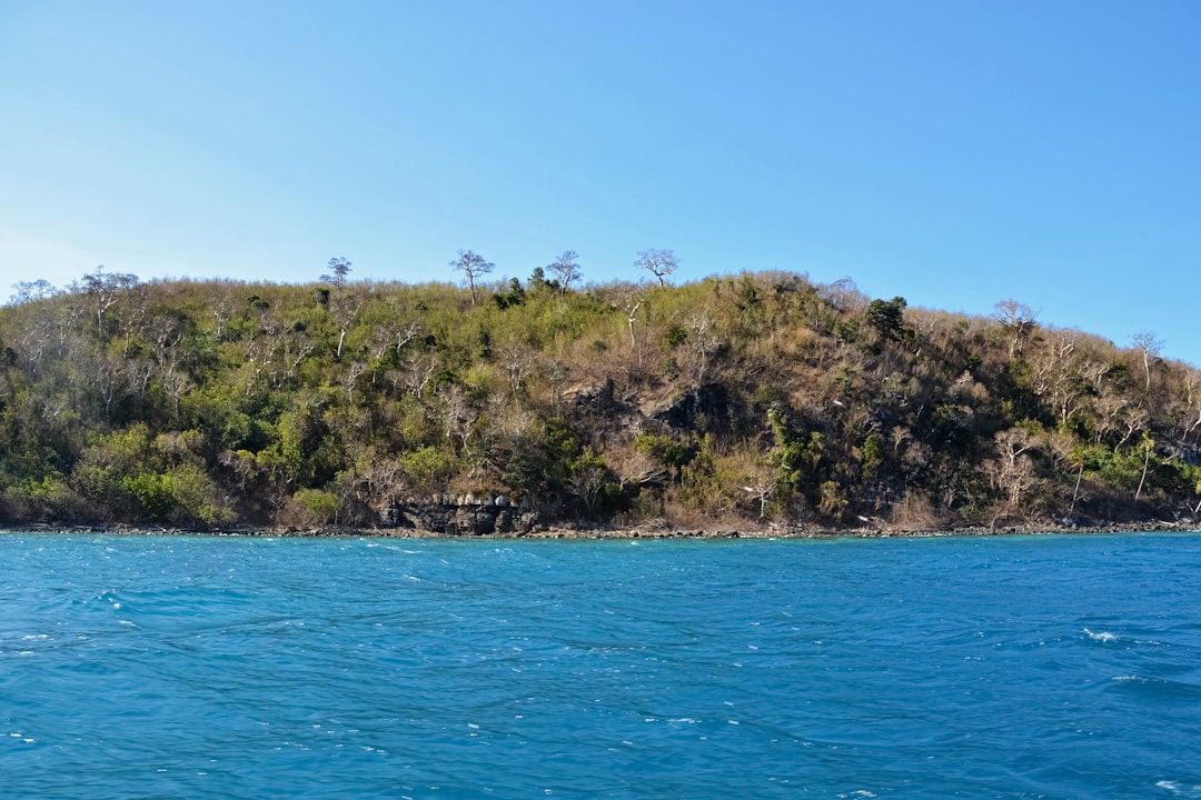 green trees on island during daytime