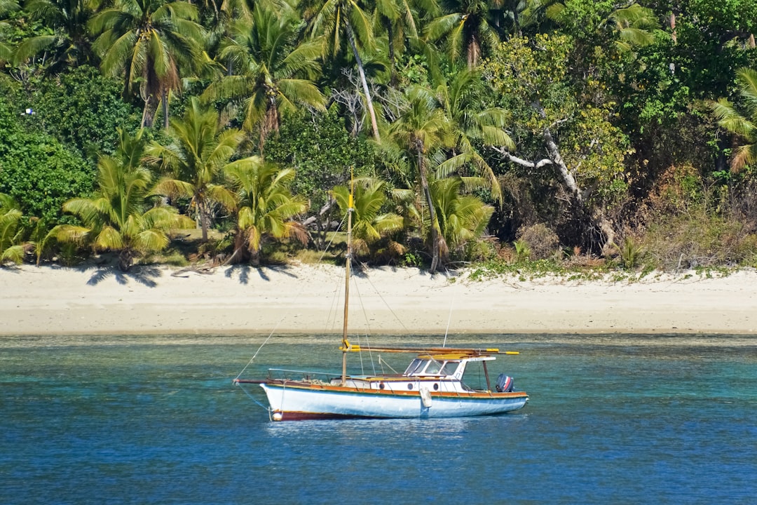 white and blue boat on sea shore during daytime