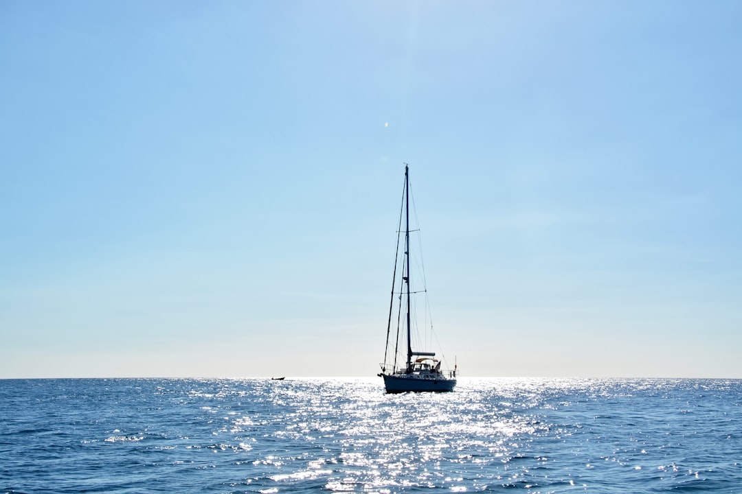 black and white boat on sea under blue sky during daytime