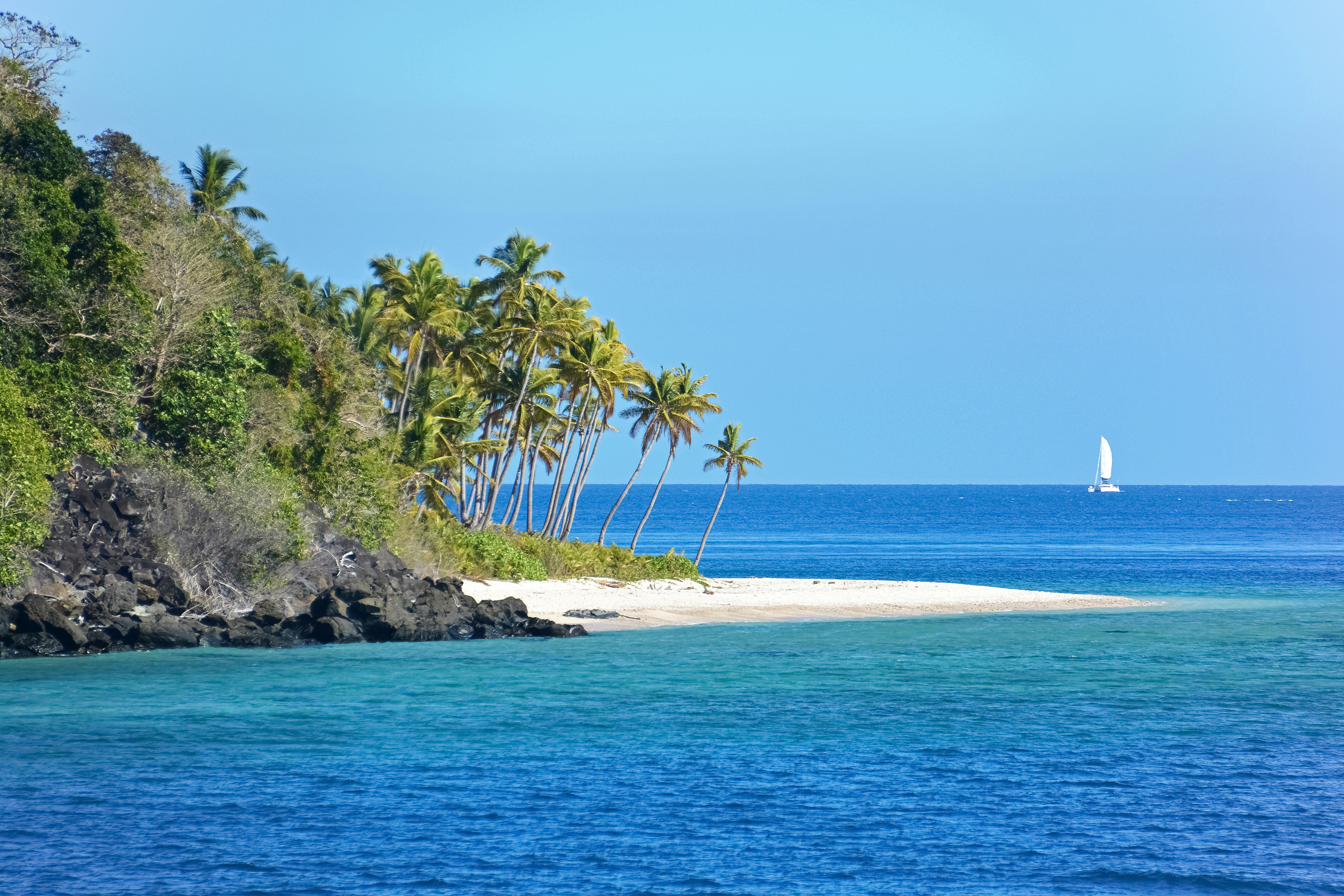 green palm trees on white sand beach during daytime