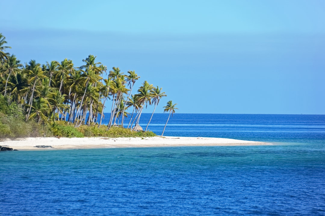 green palm trees on white sand beach during daytime