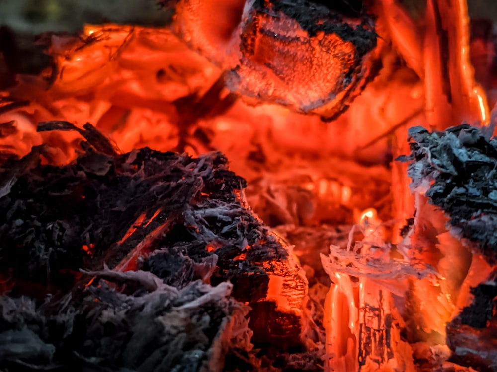 brown and black fire in close up photography