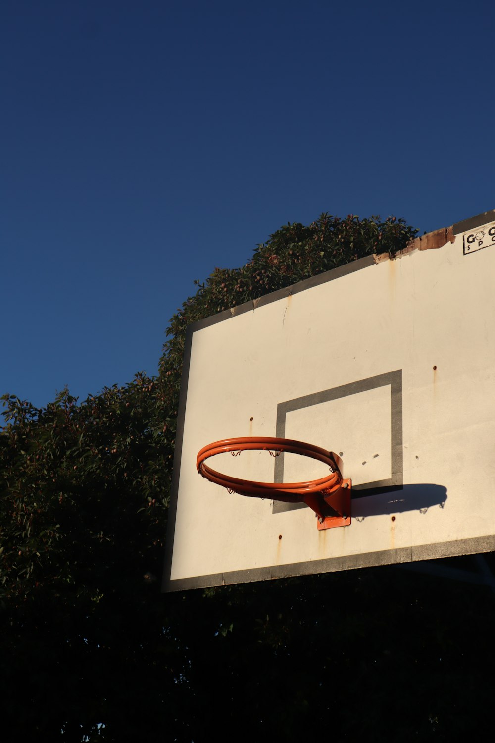 white and red basketball hoop