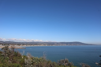A serene coastal landscape with a clear blue sky and expansive ocean view. In the distance, a small town stretches along the shoreline beneath a range of gentle hills. Lush greenery can be seen in the foreground, framing the view of the harbor and the calm sea.
