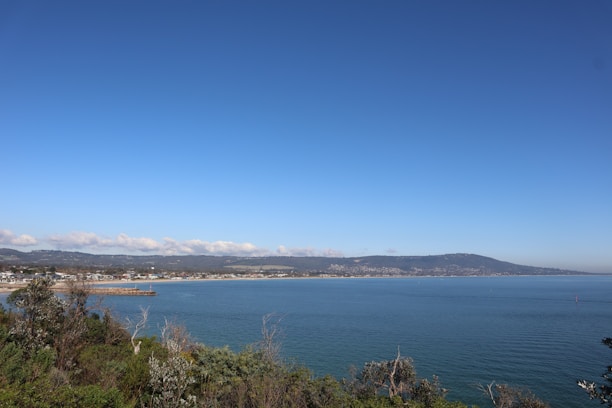 A serene coastal landscape with a clear blue sky and expansive ocean view. In the distance, a small town stretches along the shoreline beneath a range of gentle hills. Lush greenery can be seen in the foreground, framing the view of the harbor and the calm sea.