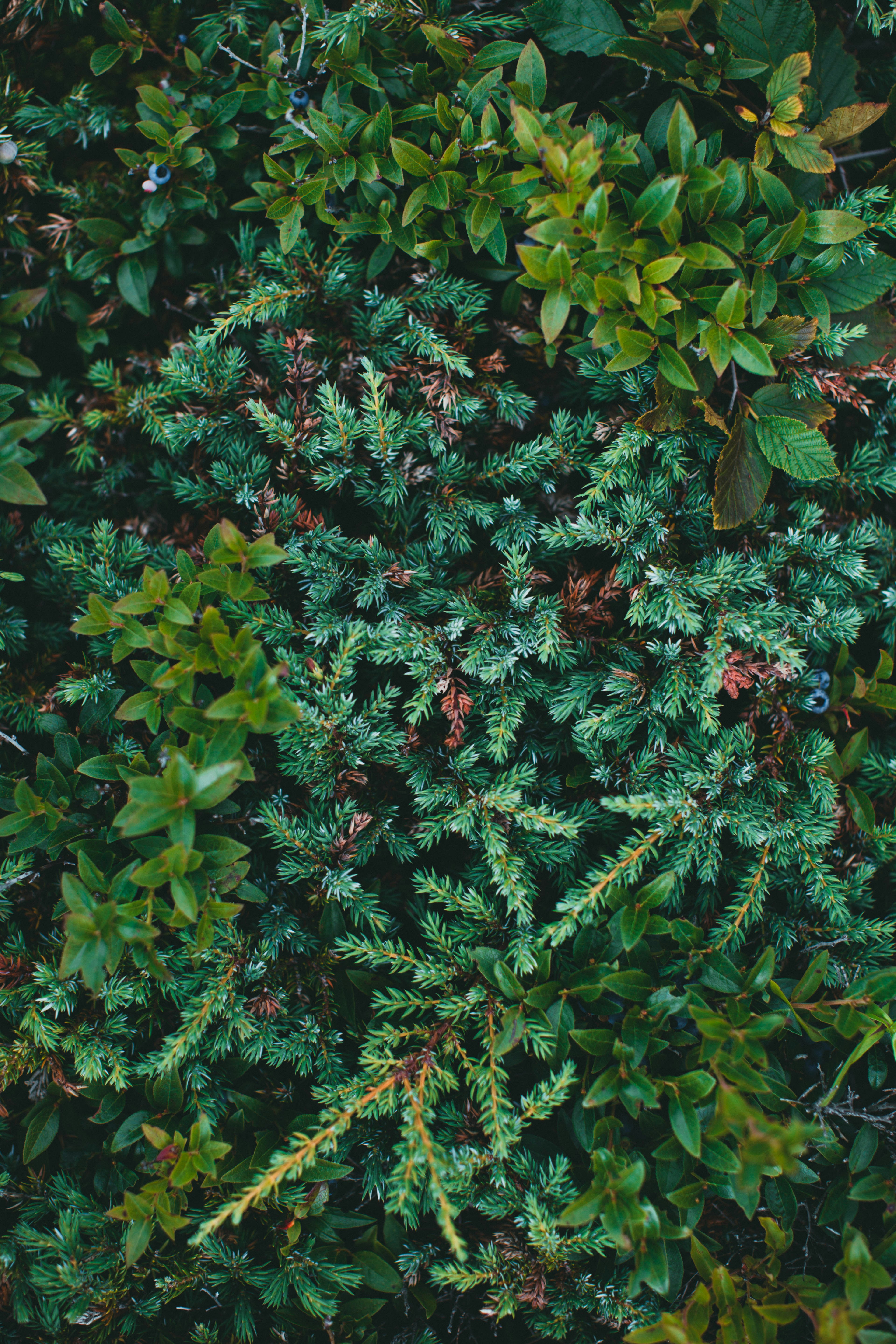 Photo by theshuttervision