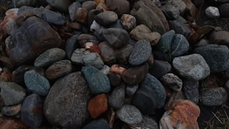 A collection of variously sized and colored stones is piled together. The stones exhibit a range of earthy tones, including grays, browns, blues, and reds. They appear smooth and weathered, suggesting exposure to natural elements over time.