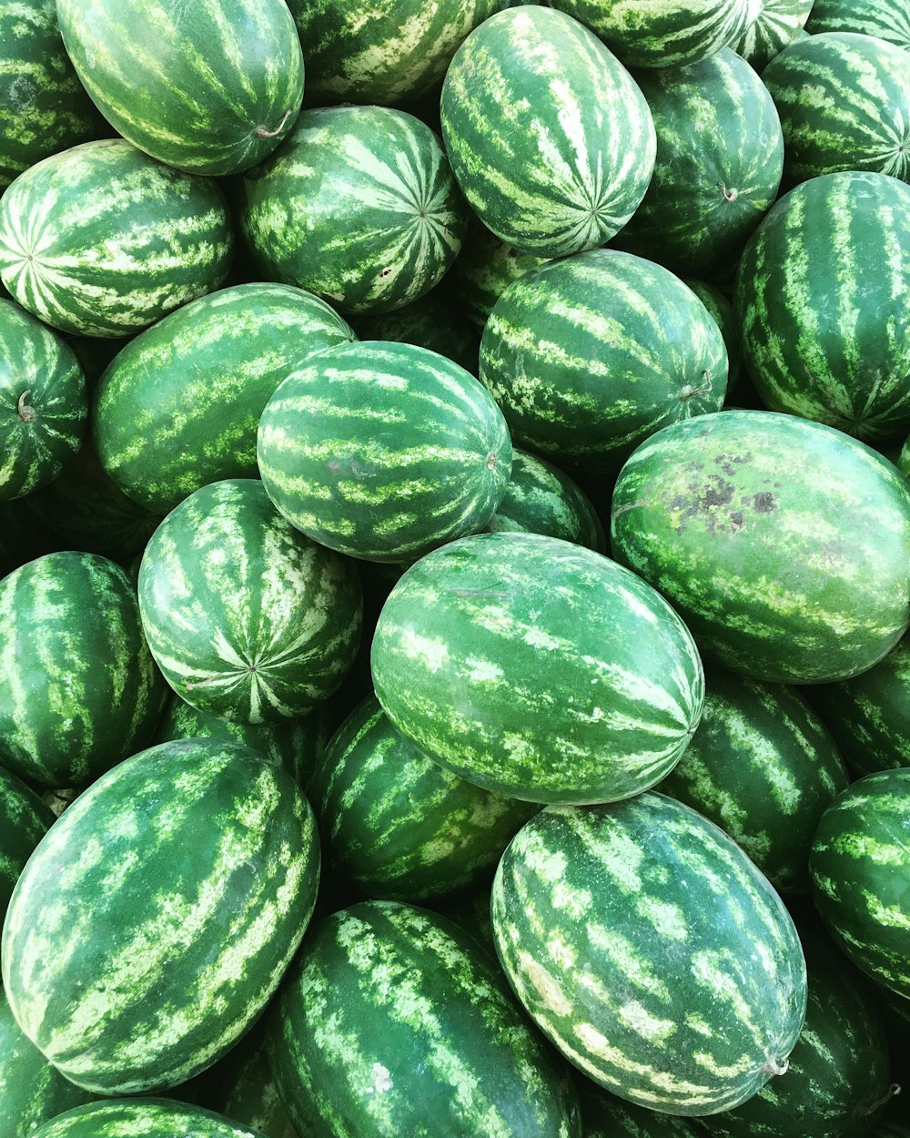 green watermelon fruit on white table