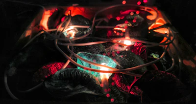 A collection of digital devices displaying excerpts from Veloria’s latest series, glowing softly in dim light.
