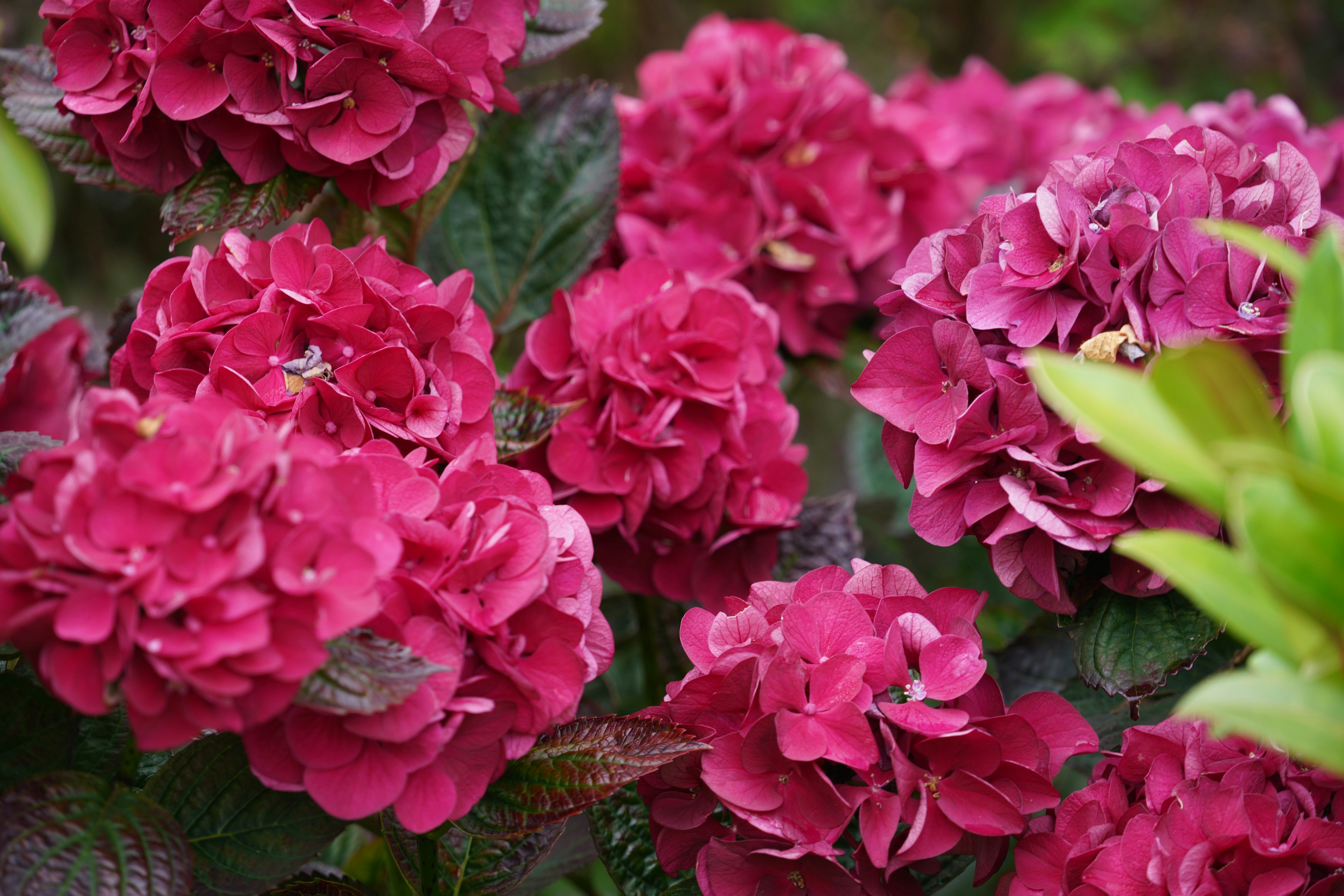 Photo by hooverpaul55