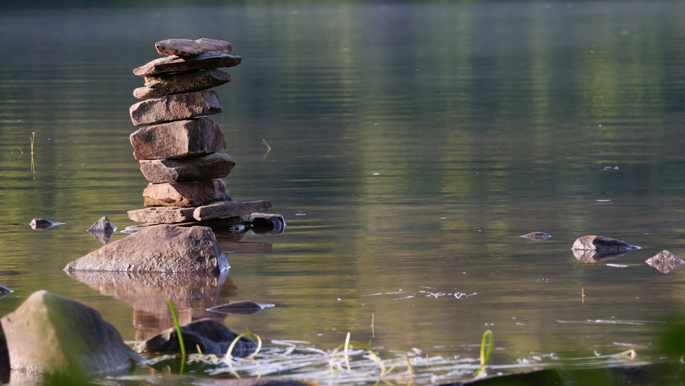 brown and gray concrete blocks on water