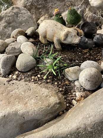 A small clay or stone figurine of a pig is surrounded by round rocks and artificial green plants, set on a surface of soil and small pebbles. In the background, there are additional decorative figures and a large rock formation.