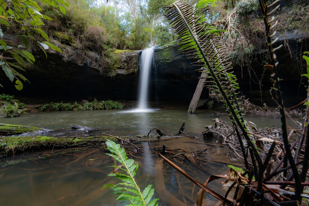 water falls in the middle of the forest