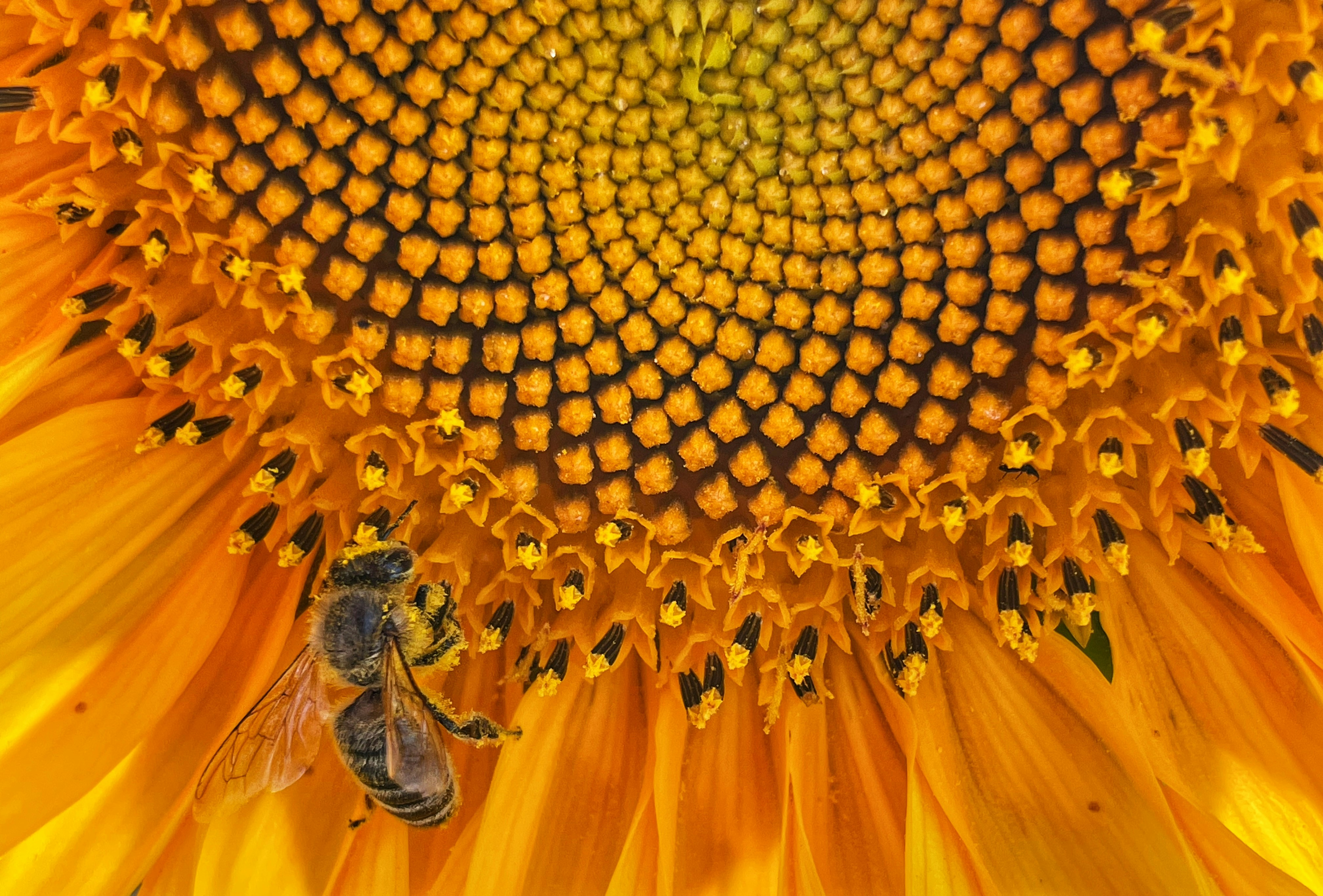 Photo by hdbernd