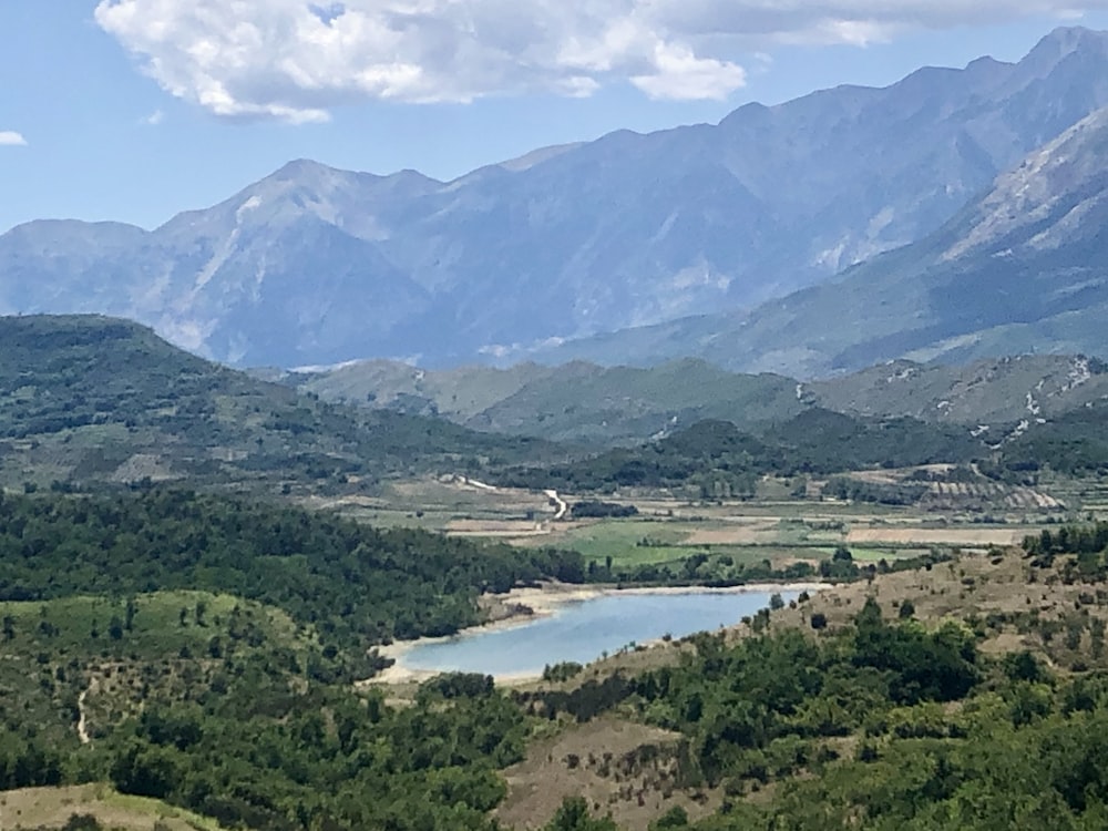 green trees and mountains during daytime