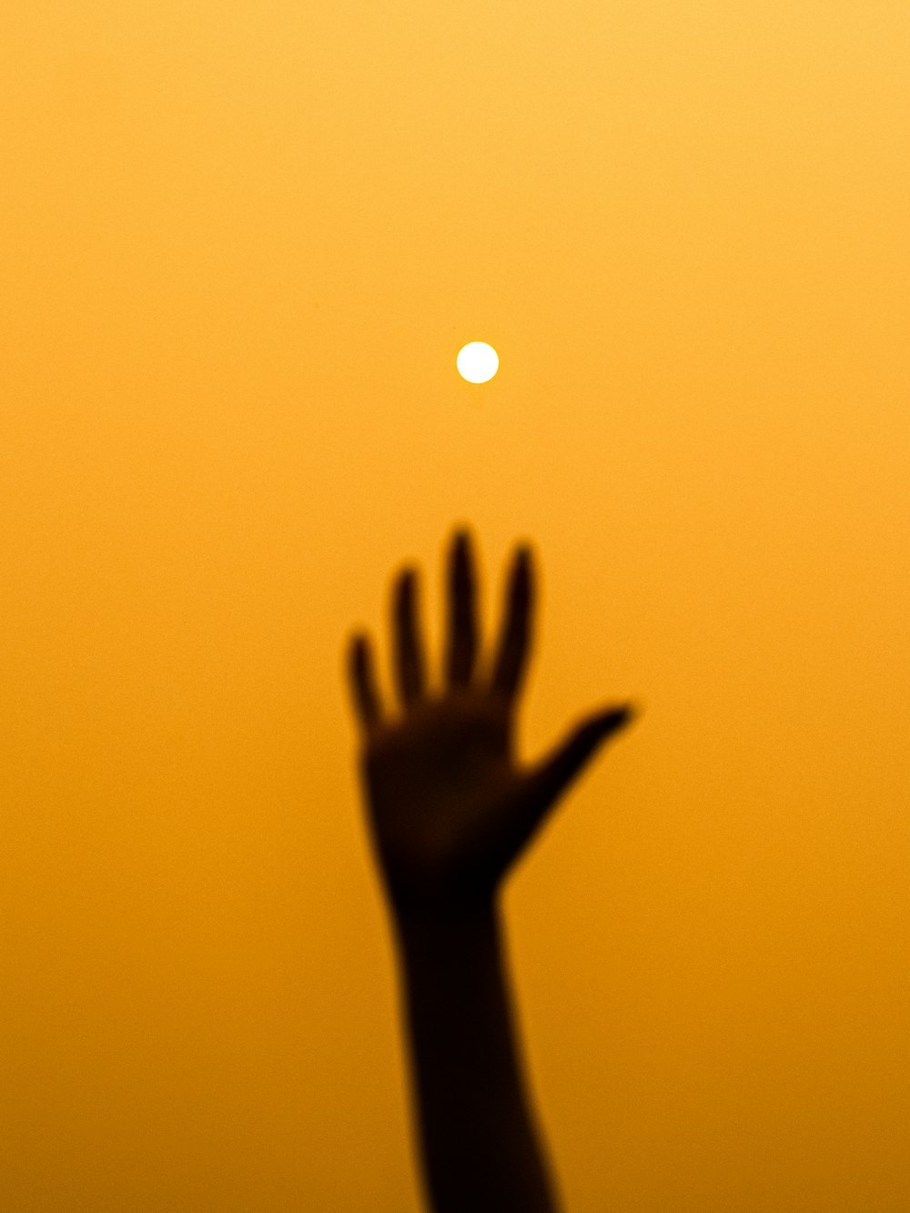 silhouette of persons left hand