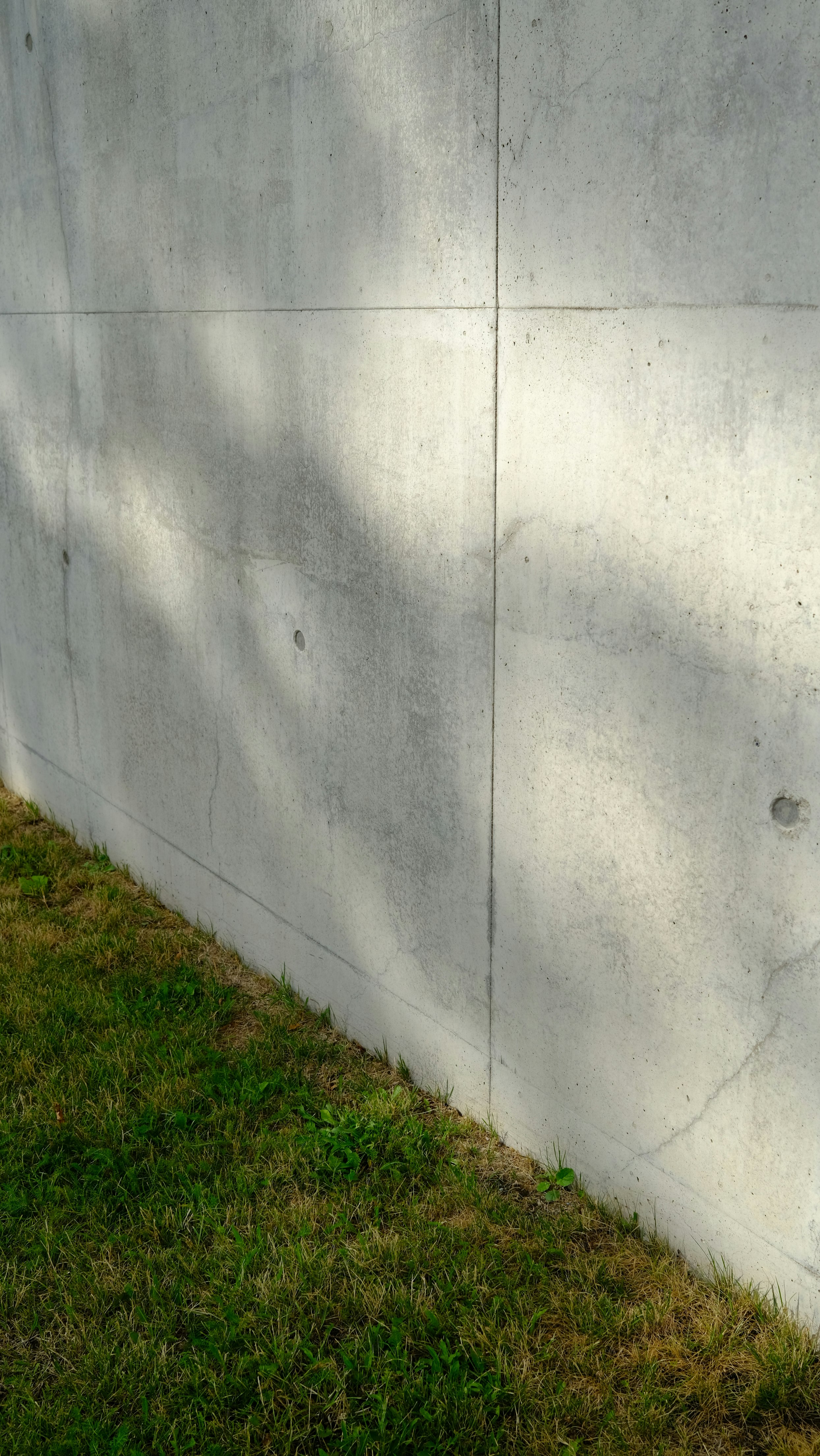 green grass beside white concrete wall