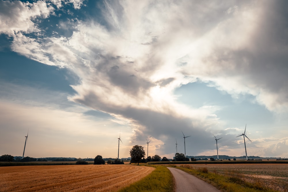 brown field under white clouds during daytime