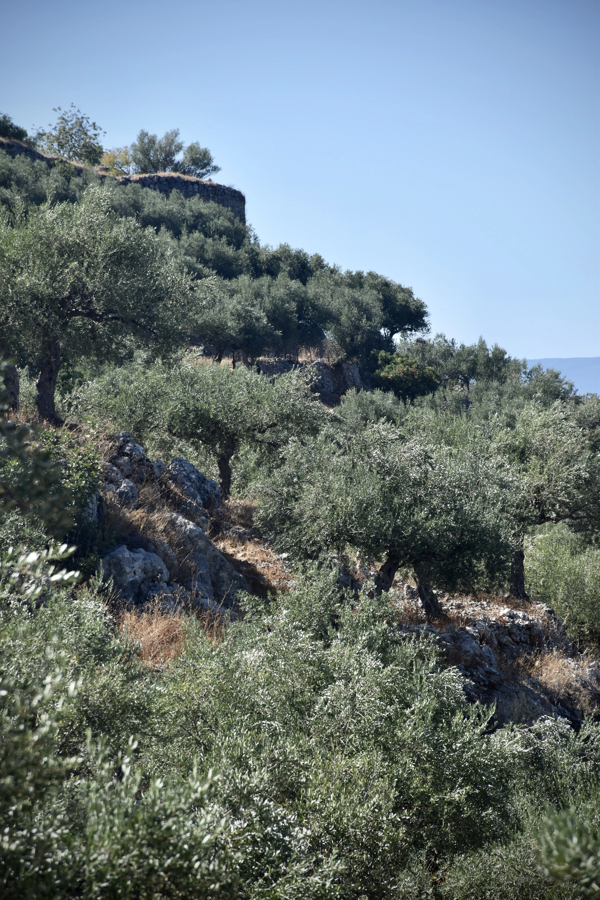 woman wearing yellow long-sleeved dress under white clouds and blue sky during daytime