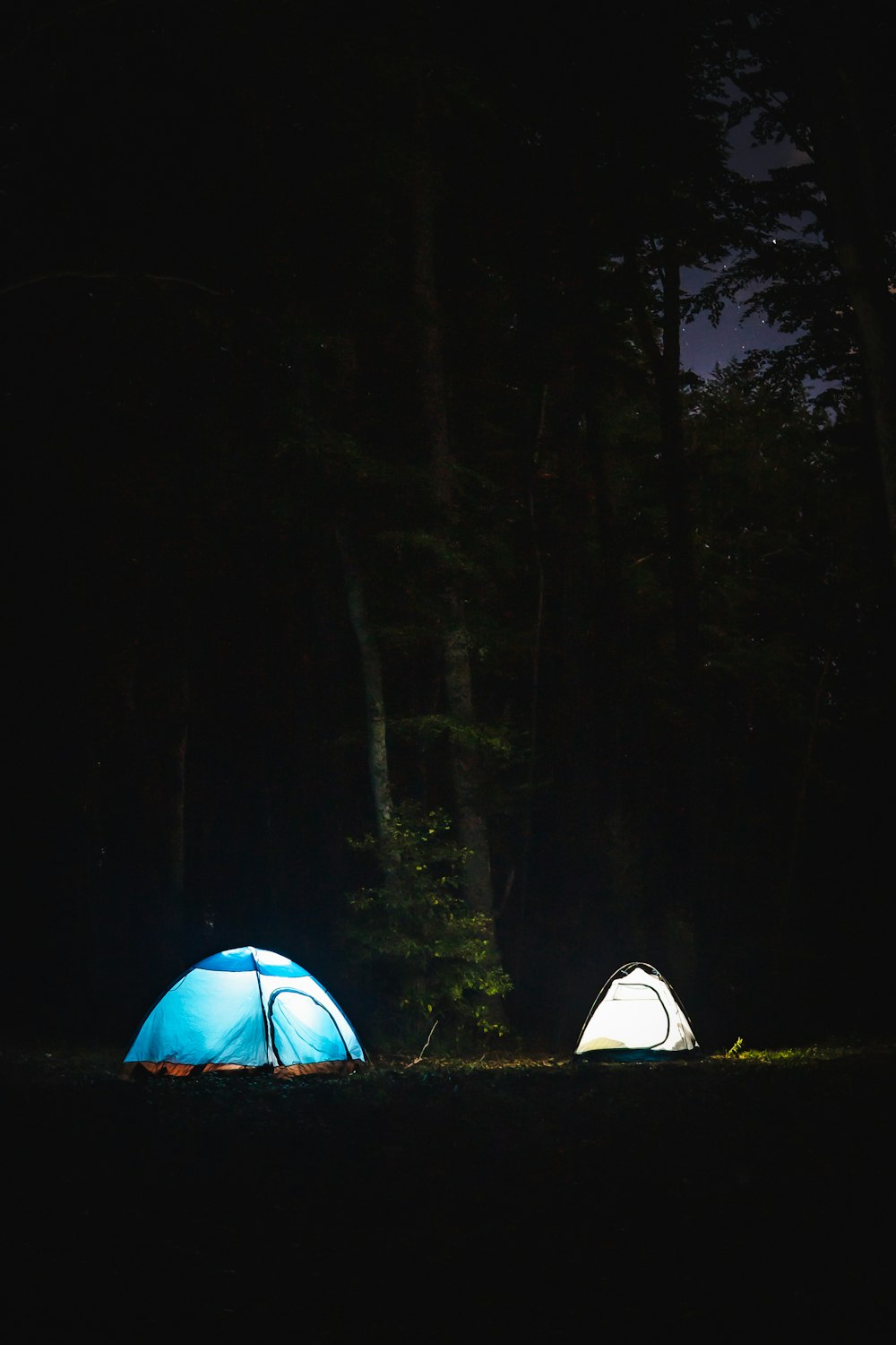 blau-weißes Zelt im Wald während der Nacht