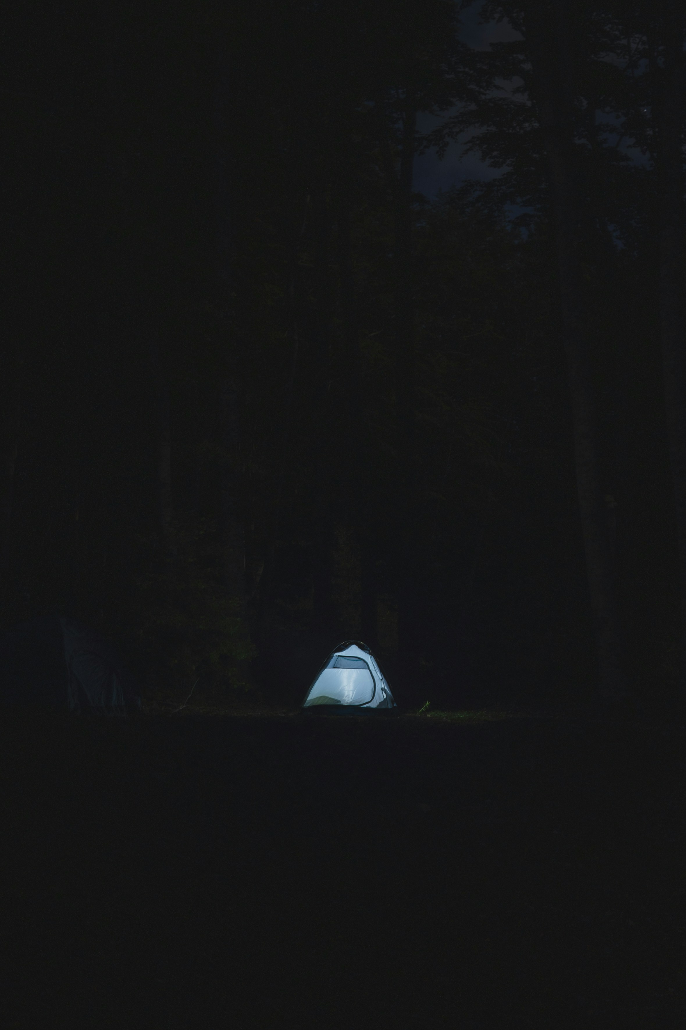 forest campsite wallpaper, wallpaper, Managing Large Groups at Campsites: A Comprehensive Guide 4