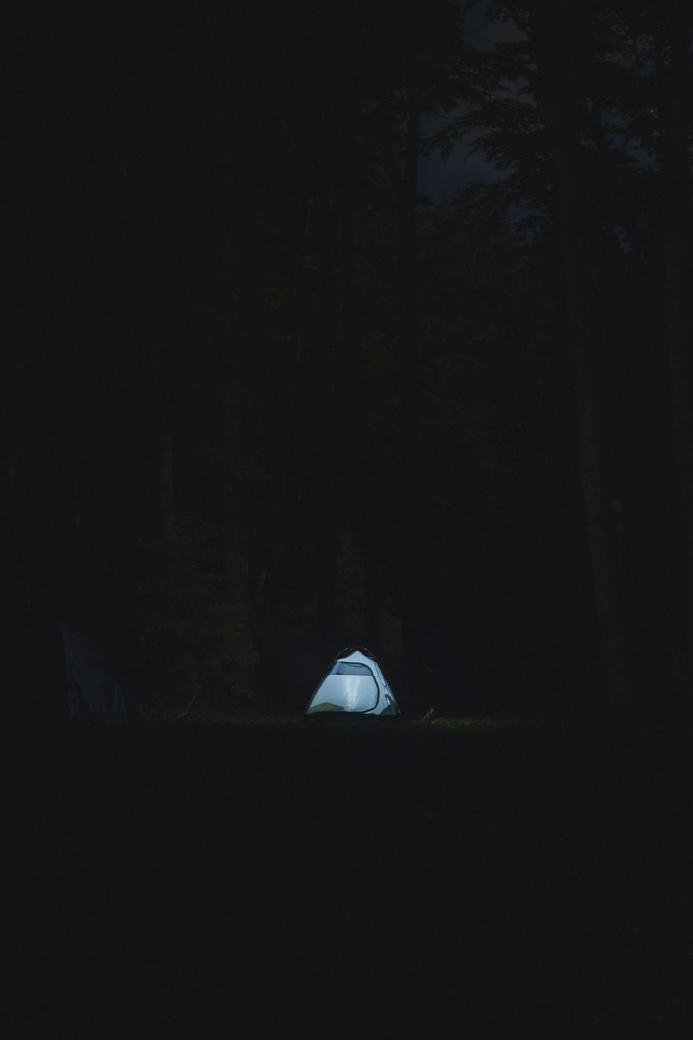 white tent in the middle of forest during night time